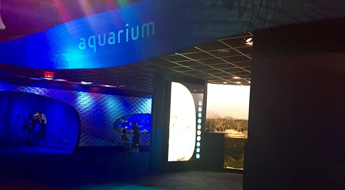 DiscoveryPlaceqaurium