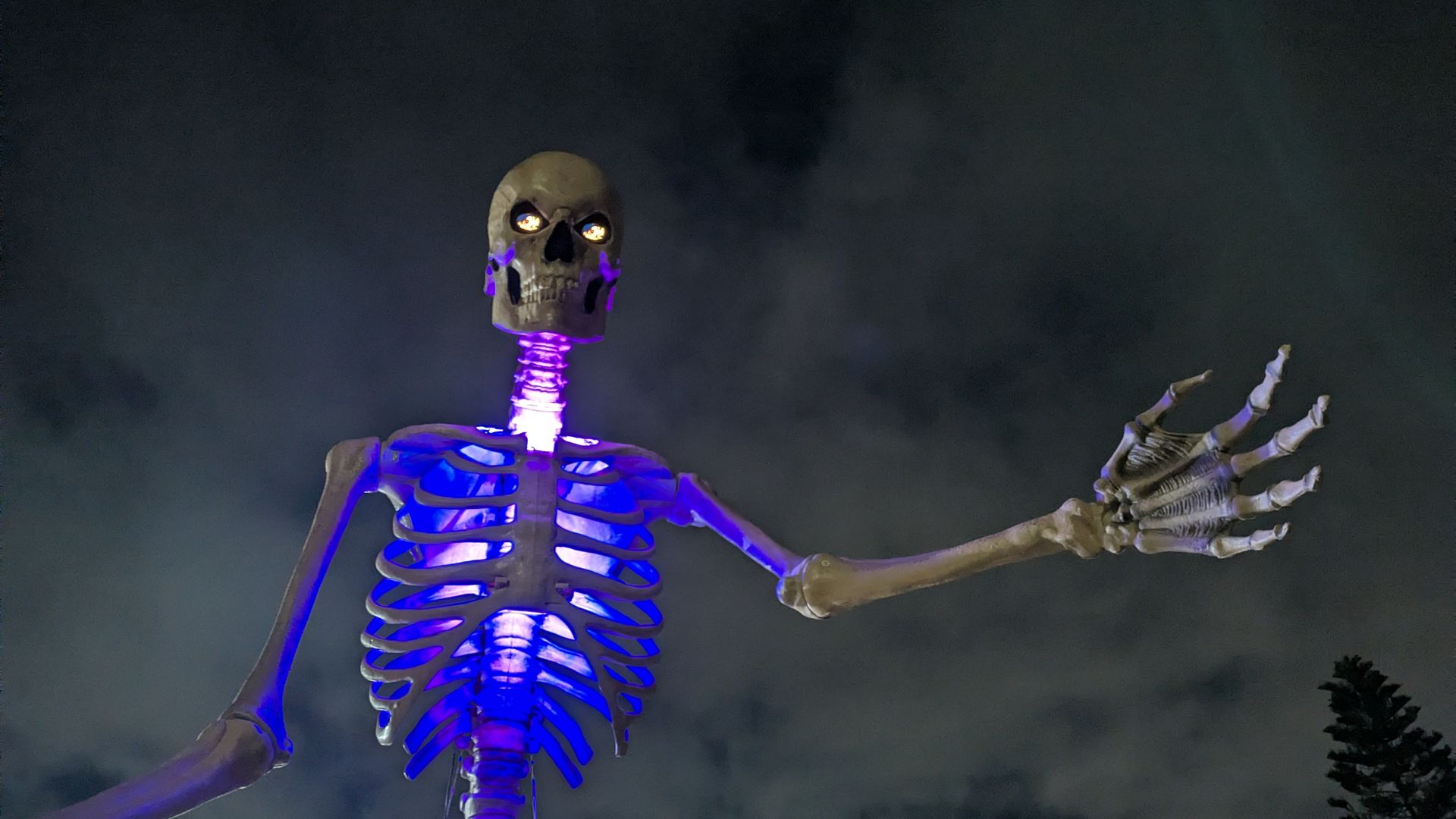 Large skeleton decoration lit with purple light at night, glowing eyes, reaching right arm out against a cloudy dark sky with faint city lights below.