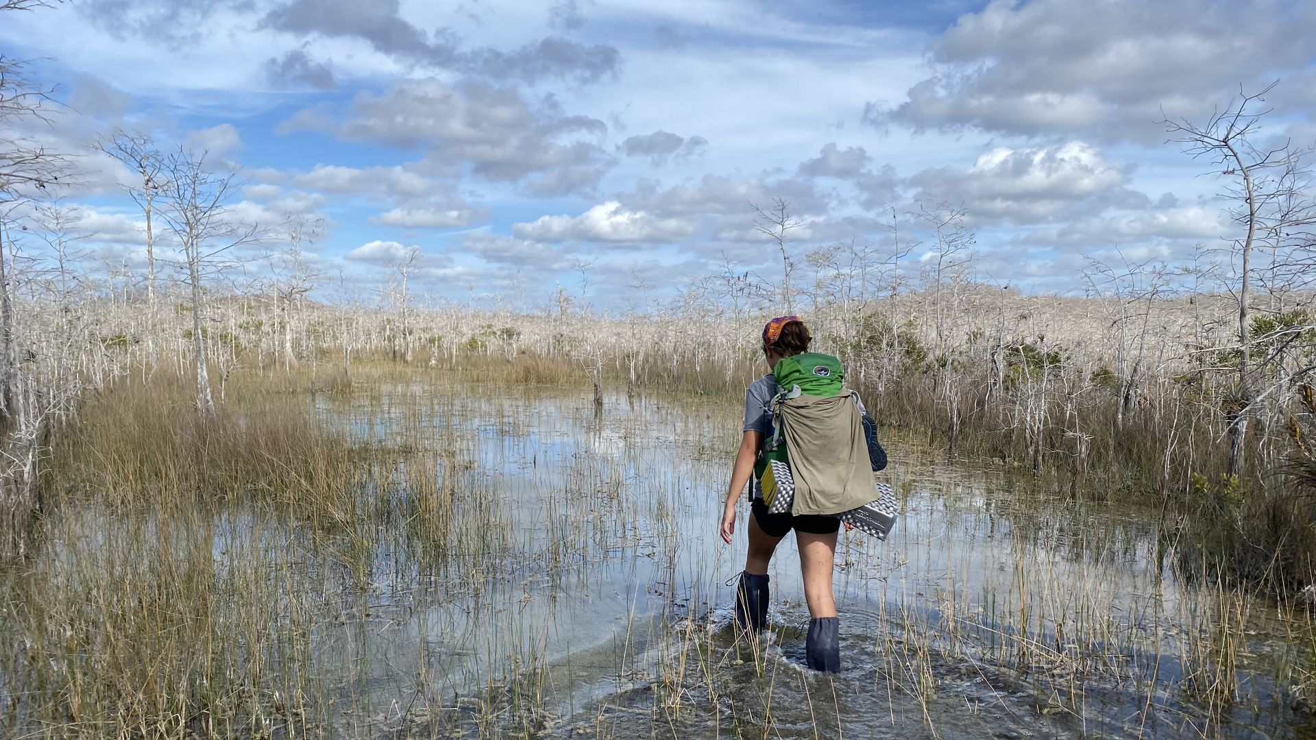 A backpacker hikes through the big cypress preserve