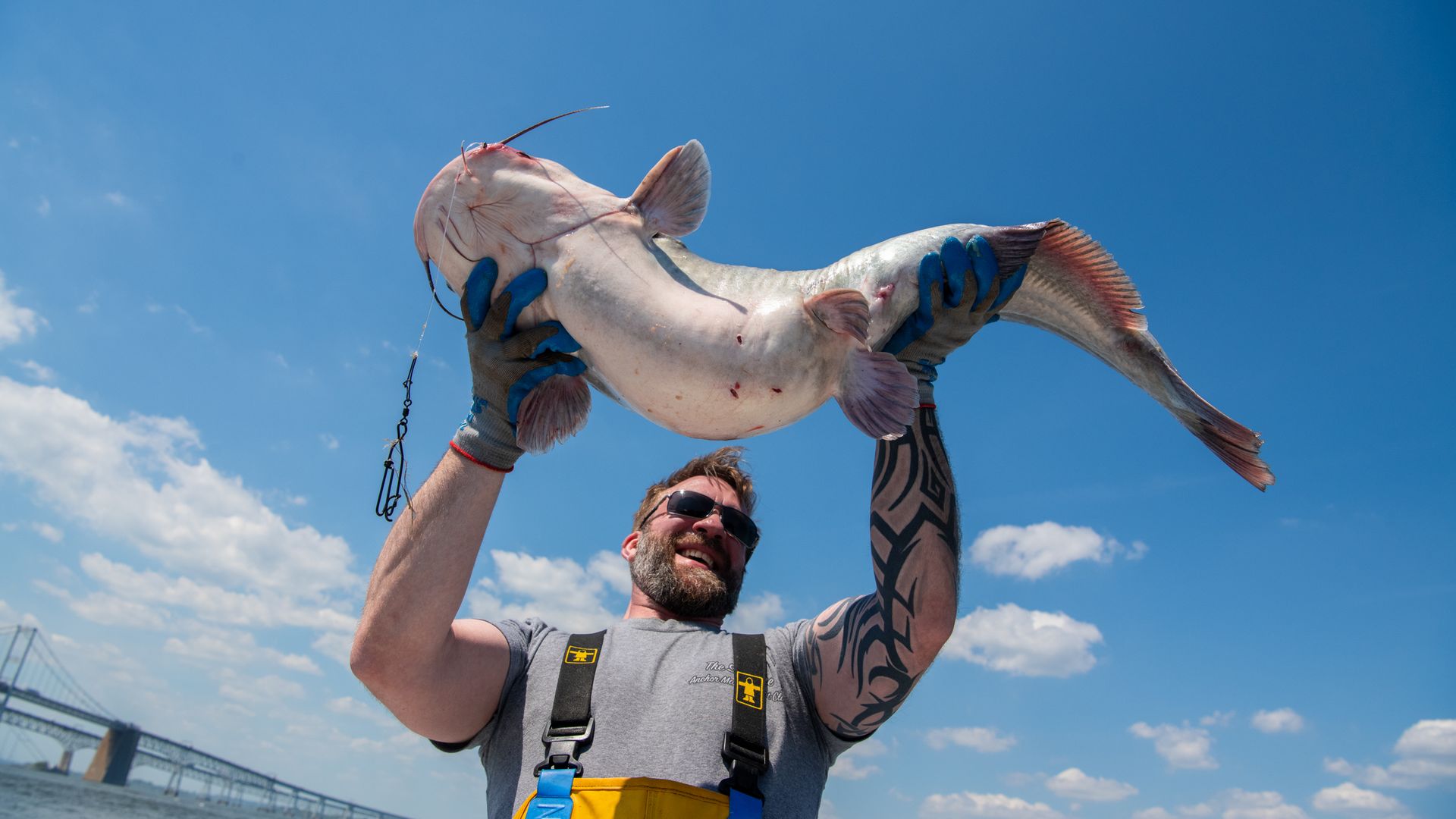 Chef Kyle Bailey holds up a blue catfish near the Bay Bridge