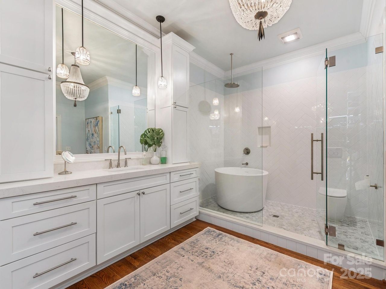 house for sale in march 2025