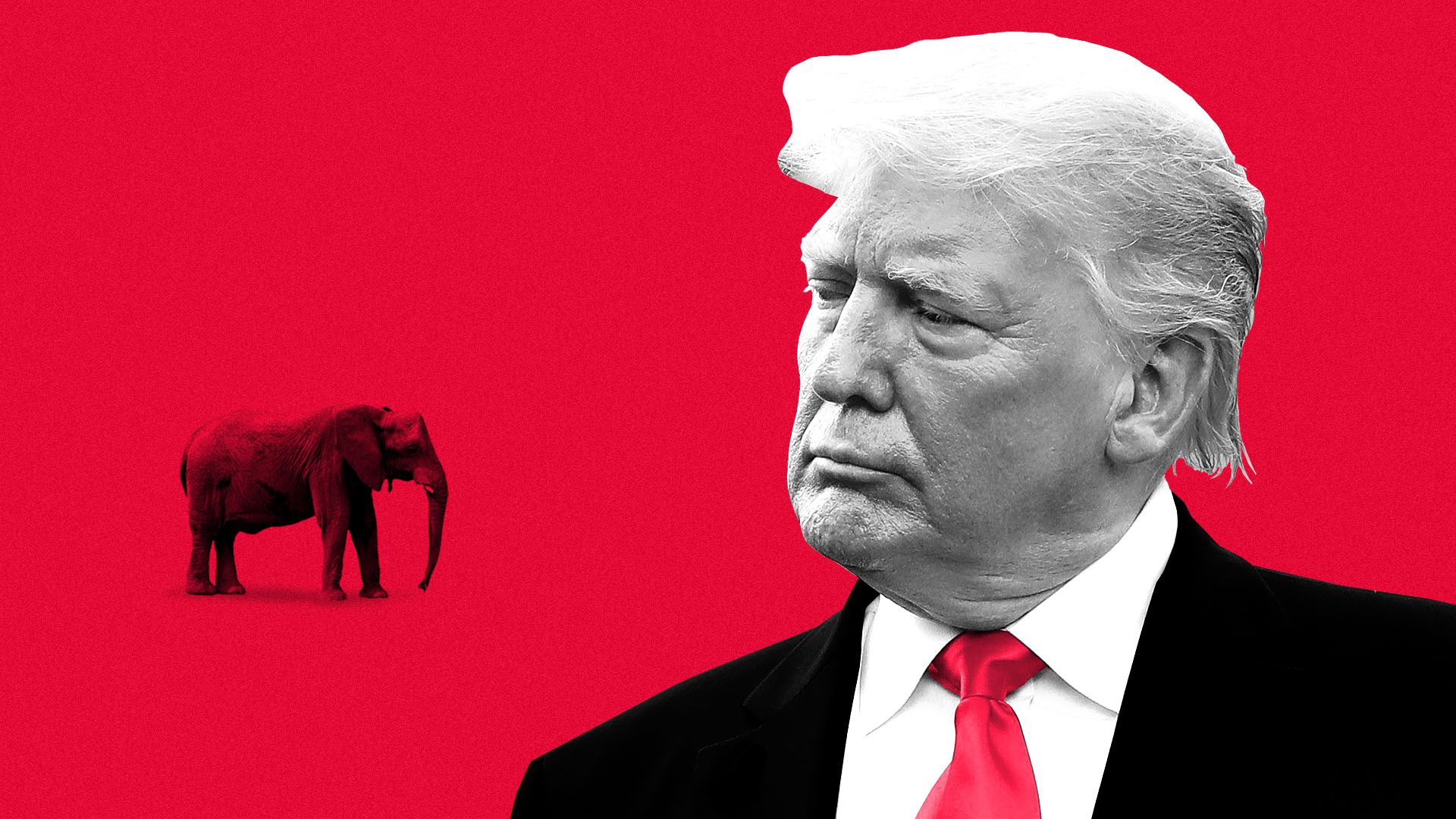 Illustration of Donald Trump staring down a small elephant.