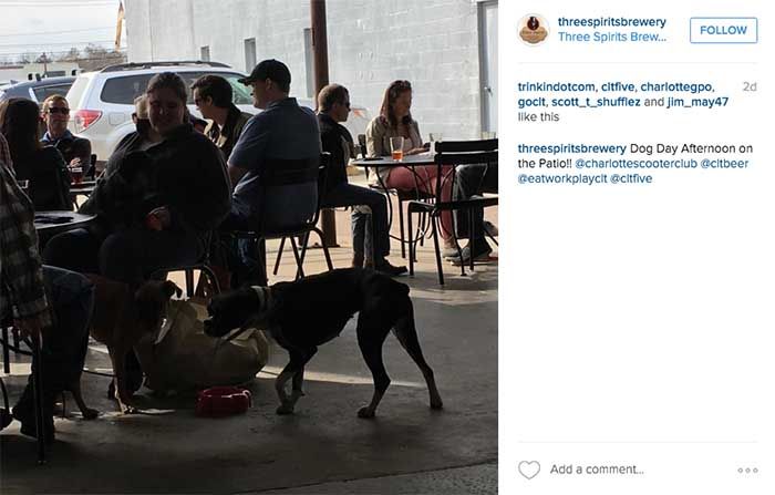 @threespiritsbrewery via Instagram