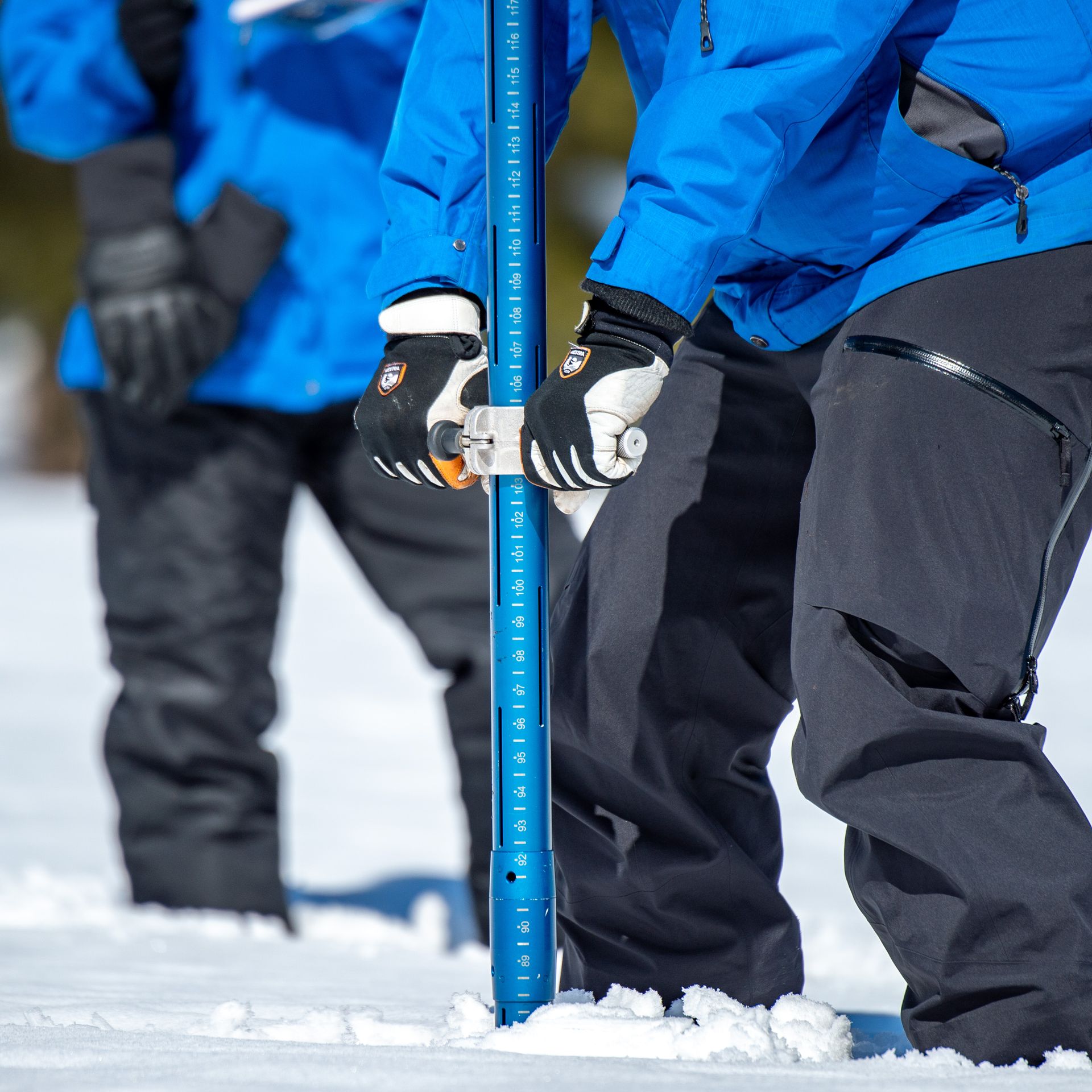 California is expecting a record snowpack - Axios San Francisco