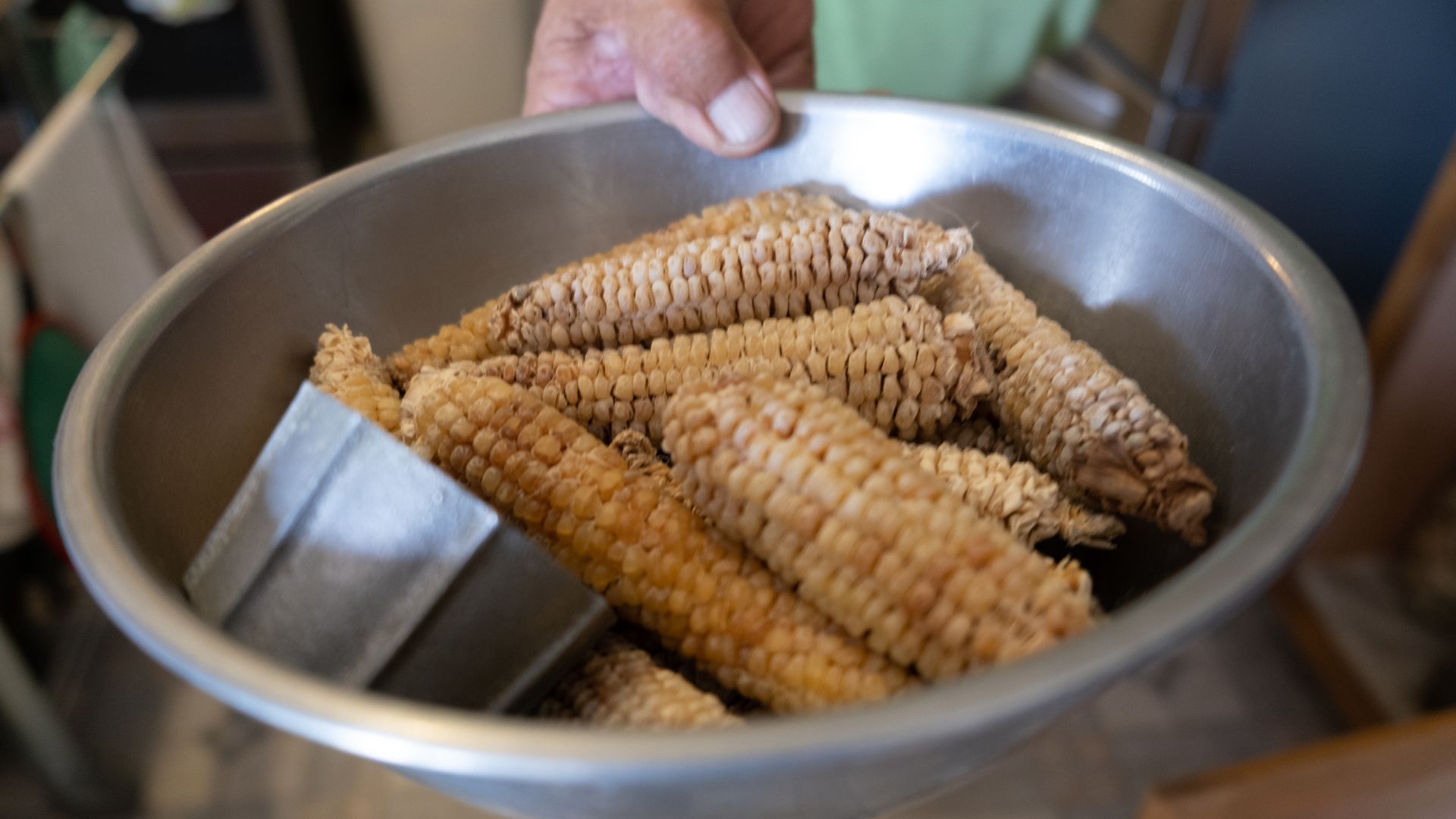 A Northern New Mexico farmer holds some dry corn that is getting harder to grow in the region.
