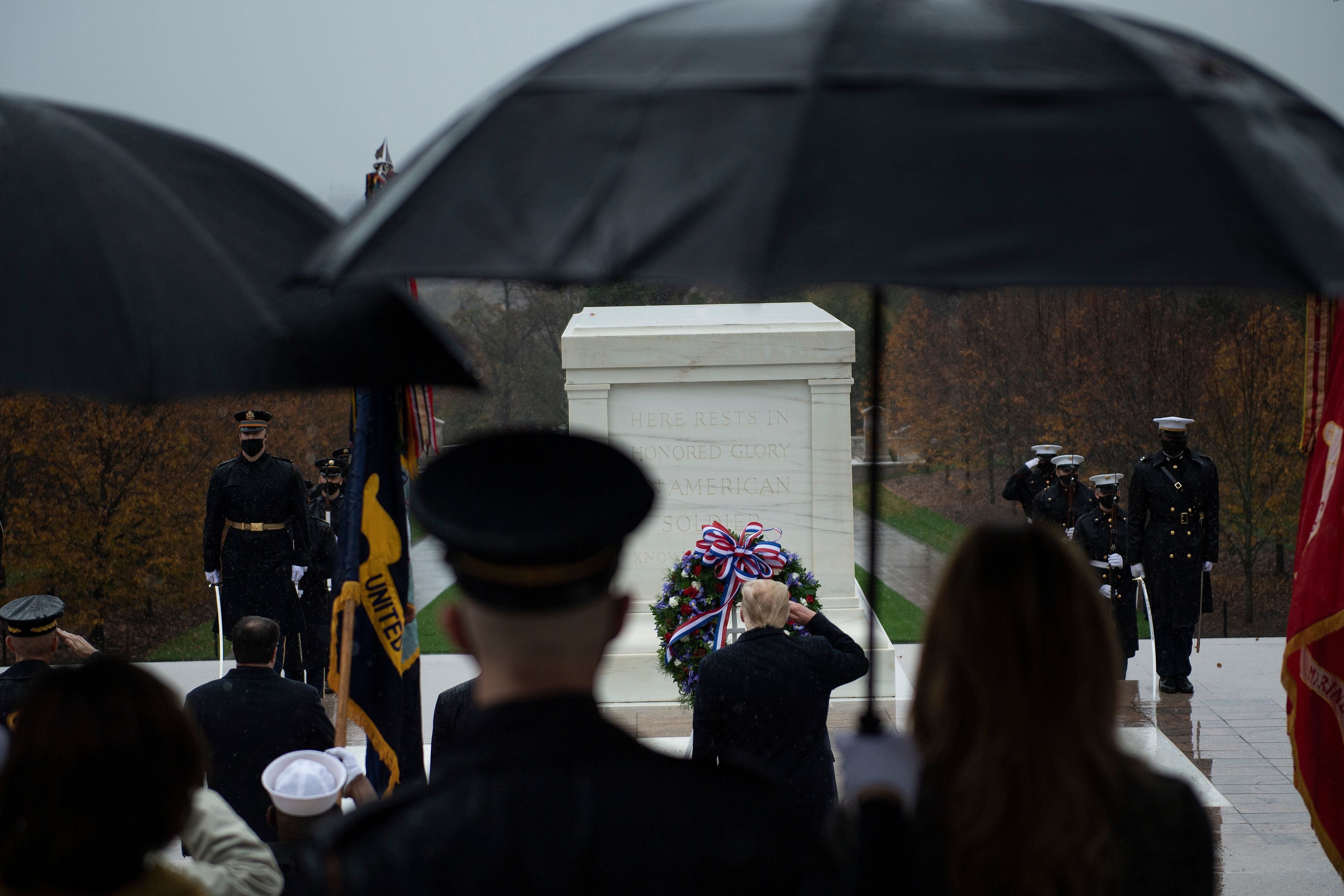 Picture of President Donald Trump saluting the Tomb of the Unknown Soldier