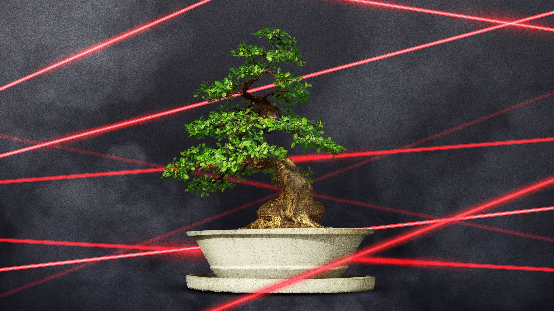 Illustration of a bonsai tree surrounded by smoke and laser beams. 