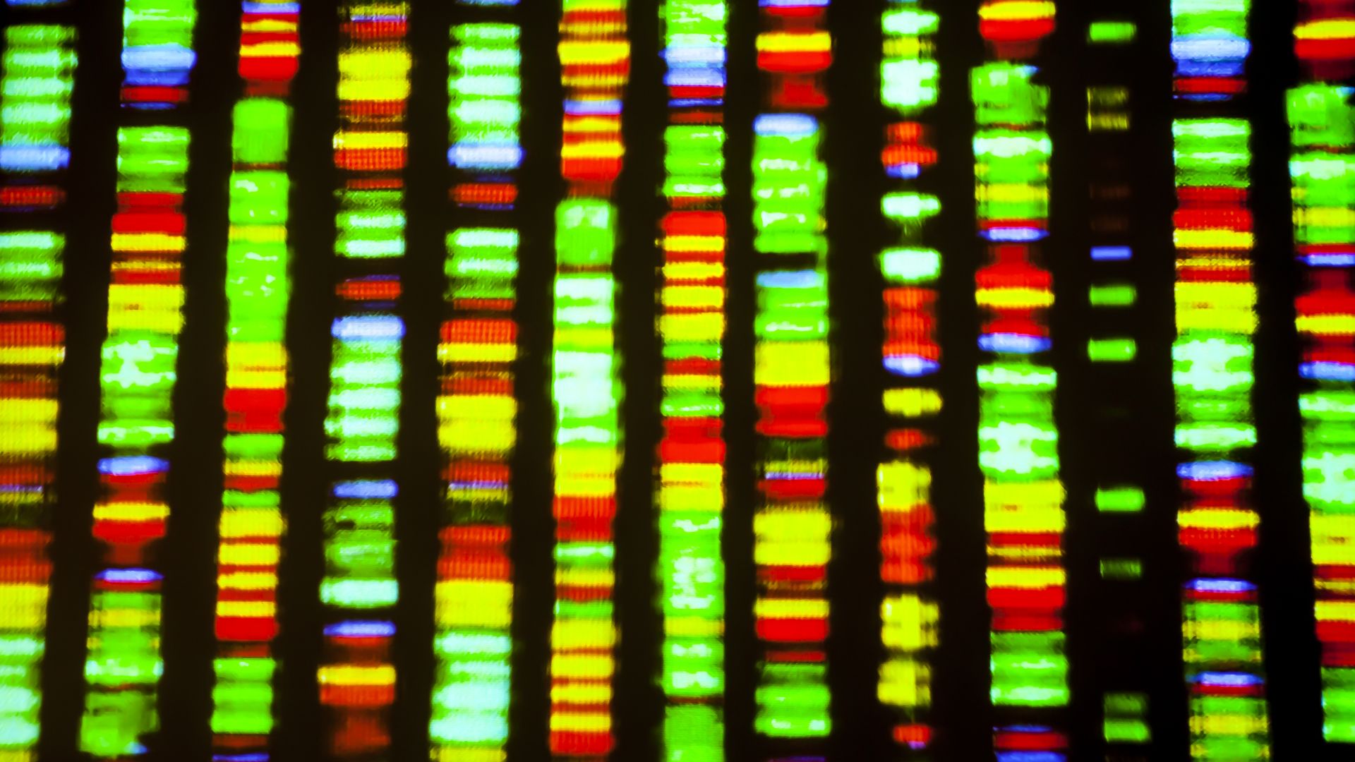 DNA sequence