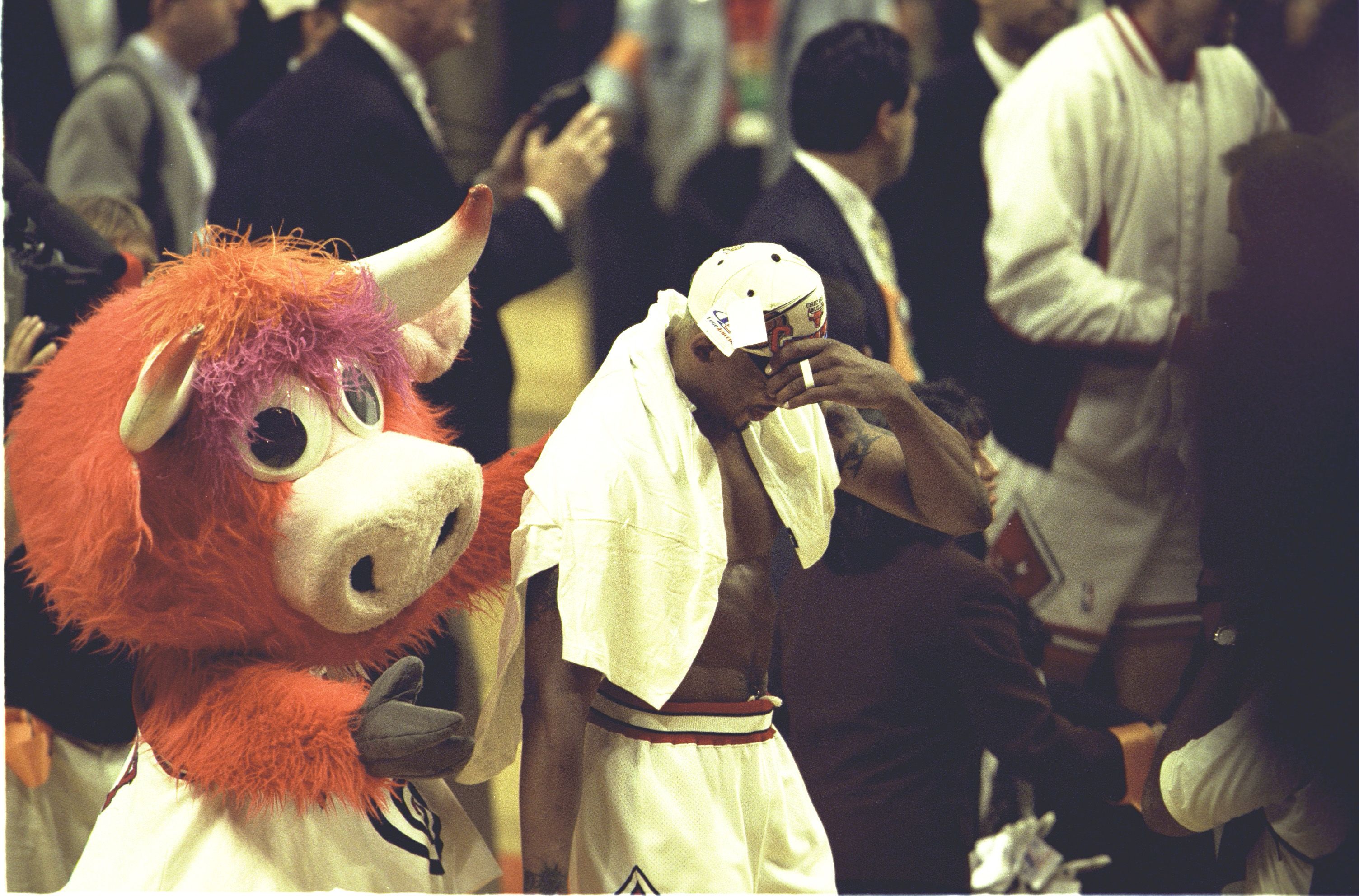 Muscular man in white shorts with a towel over his shoulders shields his eyes with one hand, wearing a cap; a large orange fuzzy cow mascot stands beside him in a crowded indoor event.