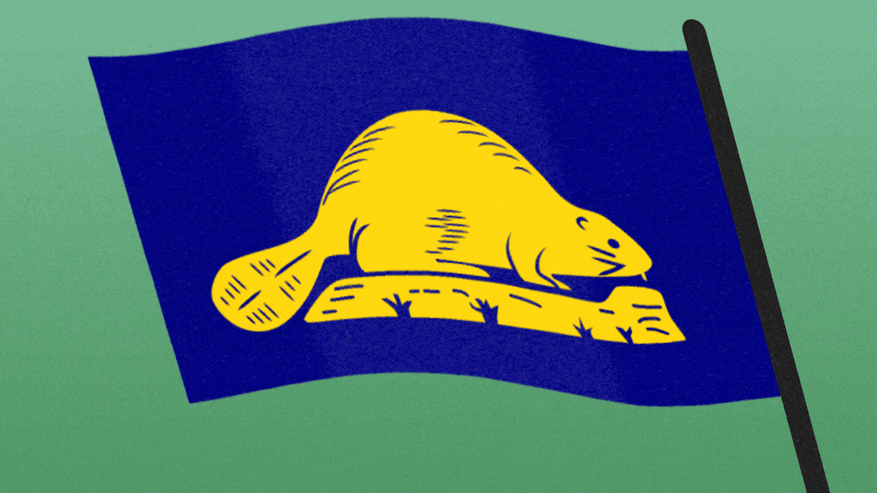 Animated illustration of the back side of the Oregon flag, which is waving. The beaver on the flag holds up a sign reading "UH-OH."