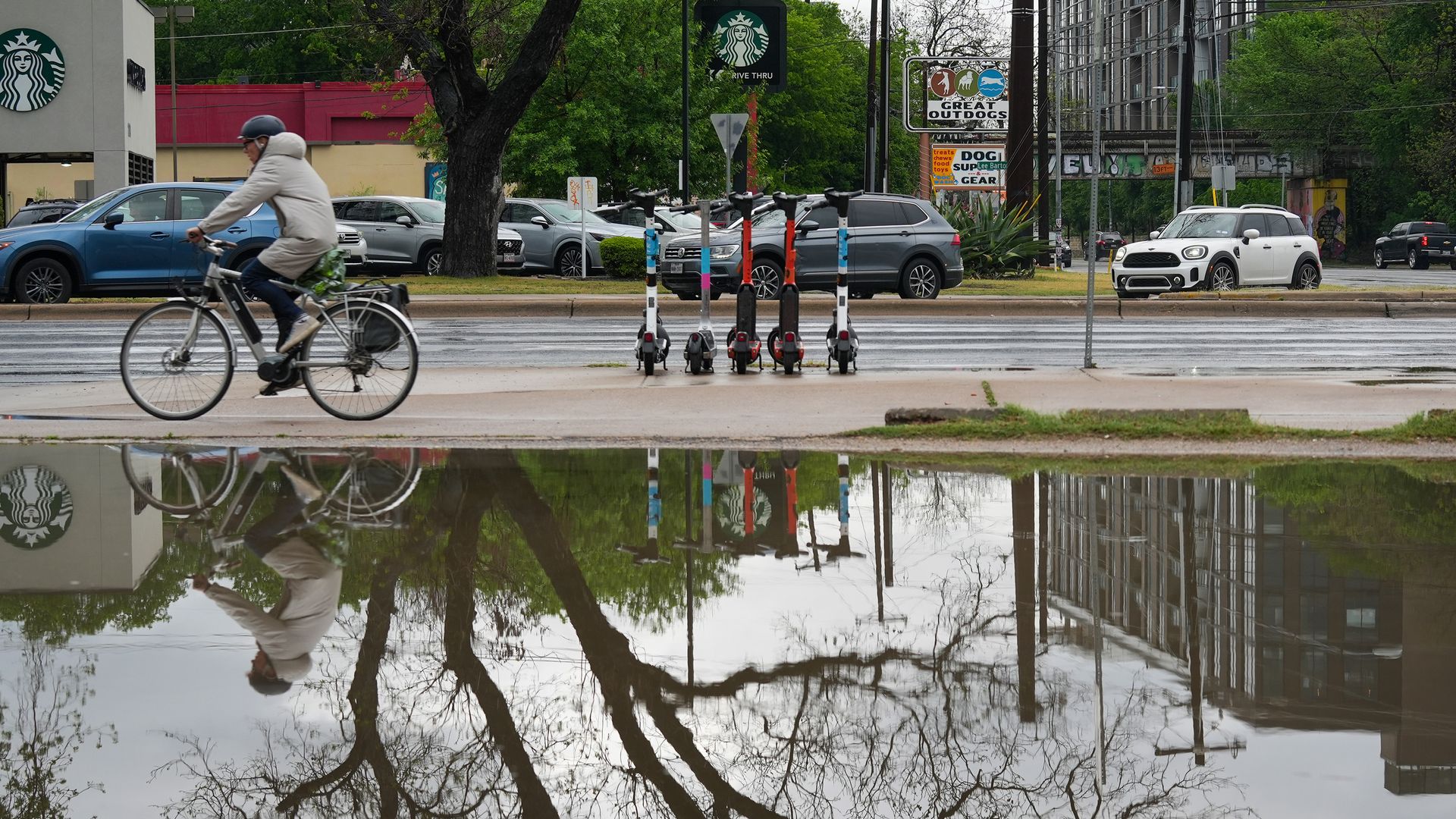 Urban street scene: cyclist in a beige coat rides a white bike past colorful scooters, parked cars, a Starbucks sign, and a white Mini Cooper, with tree reflections in a large puddle.
