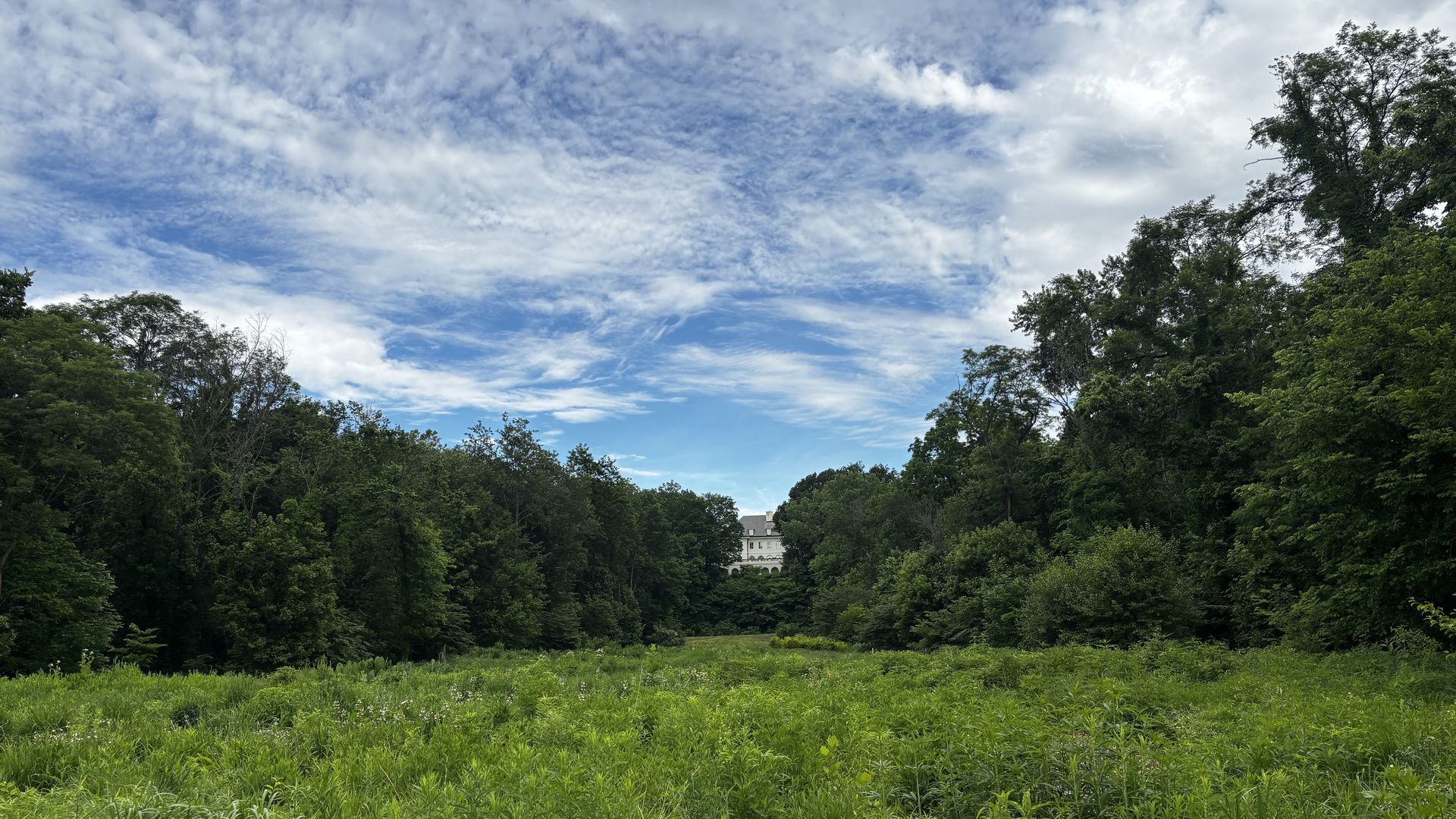 Wide landscape of blue sky with wispy clouds, flanked by dense green trees on both sides. A grassy field leads to a distant white building visible between the trees.