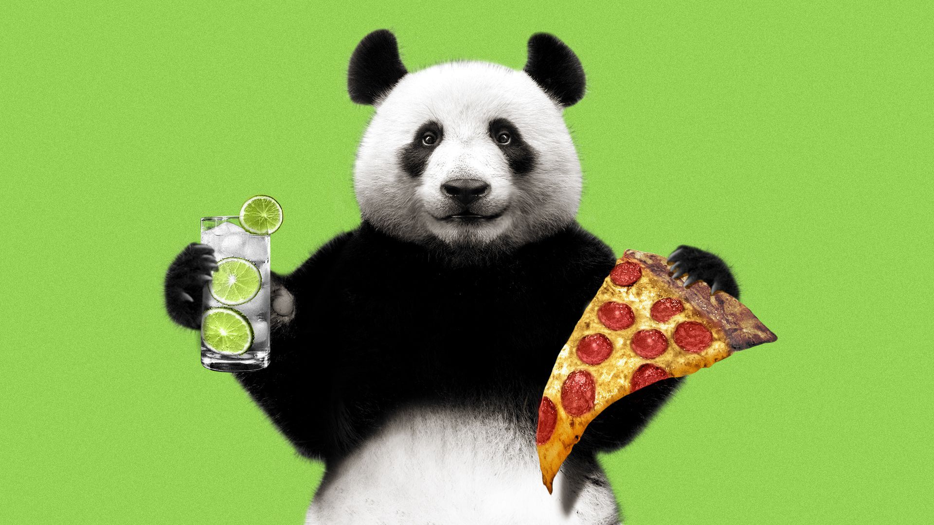Illustration of a panda holding a gin rickey and a huge slice of pizza.