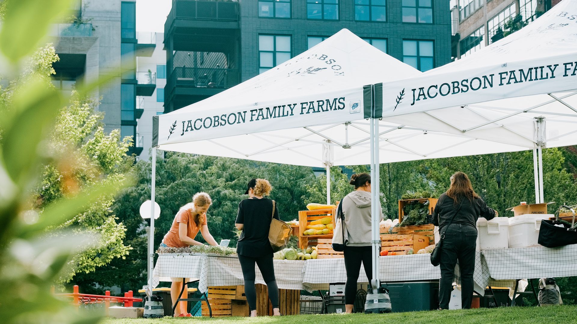 Green city market in Chicago