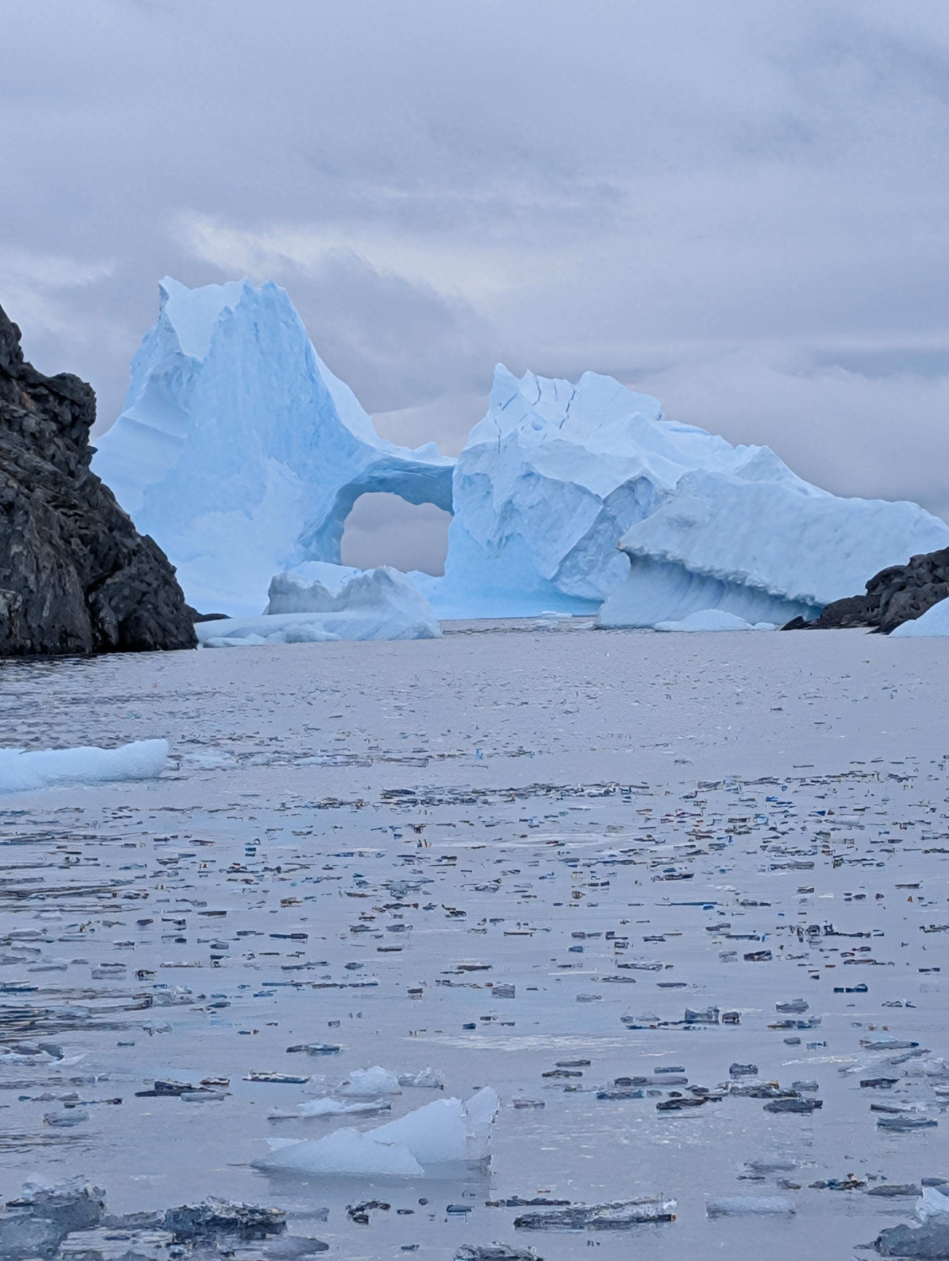 Blue iceberg with a natural arch floating in icy water, surrounded by dark rocky cliffs under a cloudy gray sky.