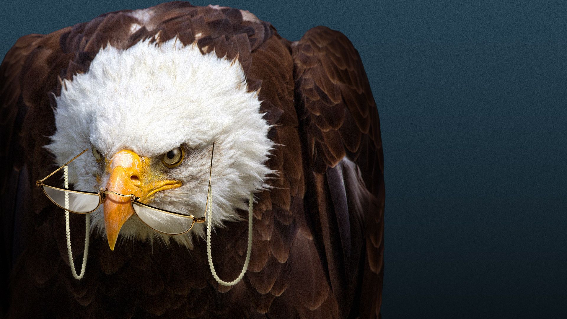 Illustration of an eagle wearing half-round glasses on a pearly chain.