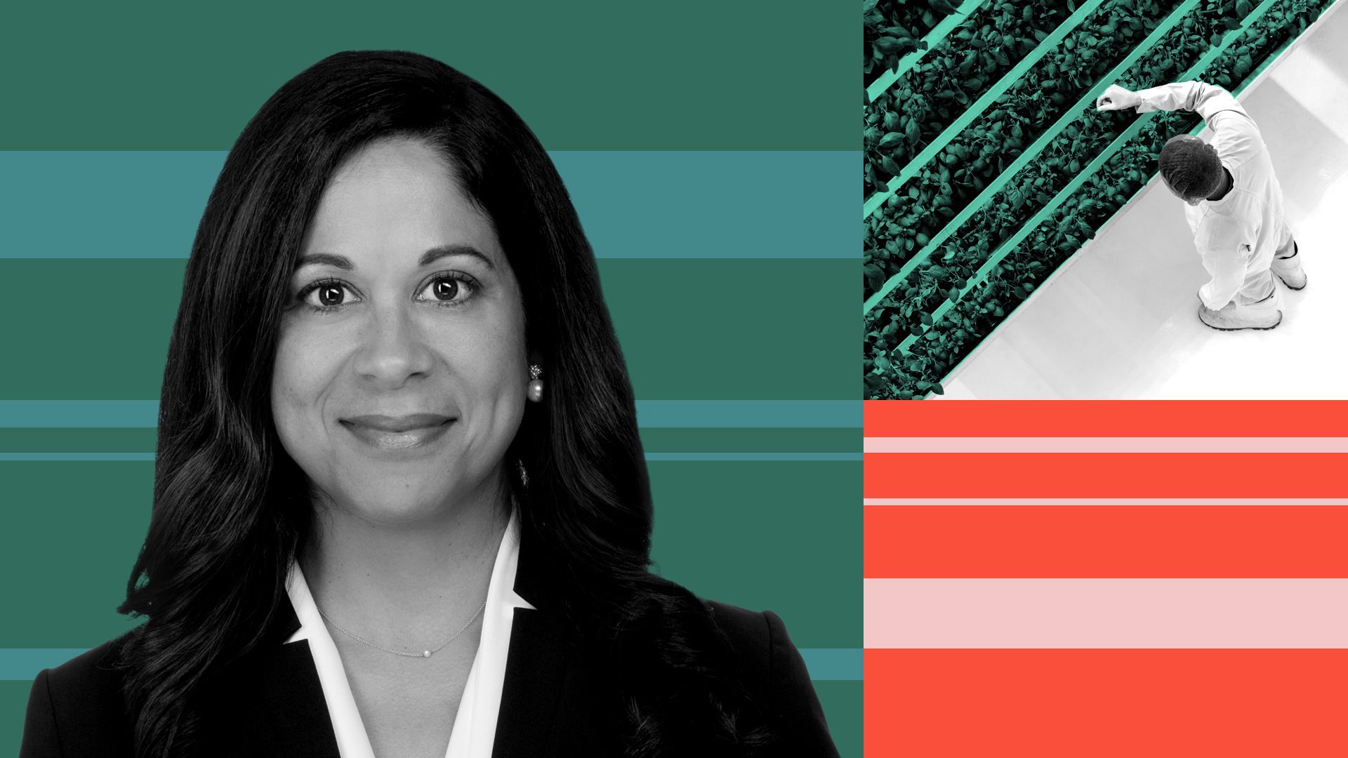 Photo illustration of Lisa Feria, CEO and managing partner of Stray Dog Capital, next to a scientist growing plants