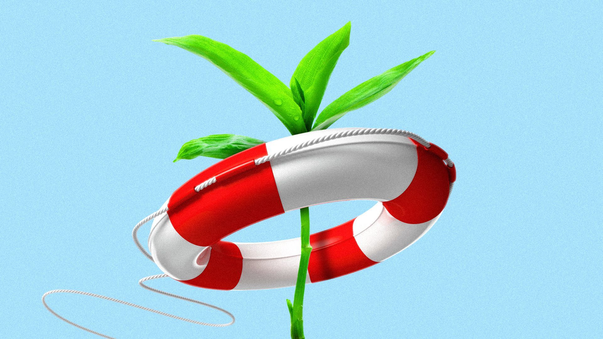 Illustration of a sprout with a life preserver thrown over it.