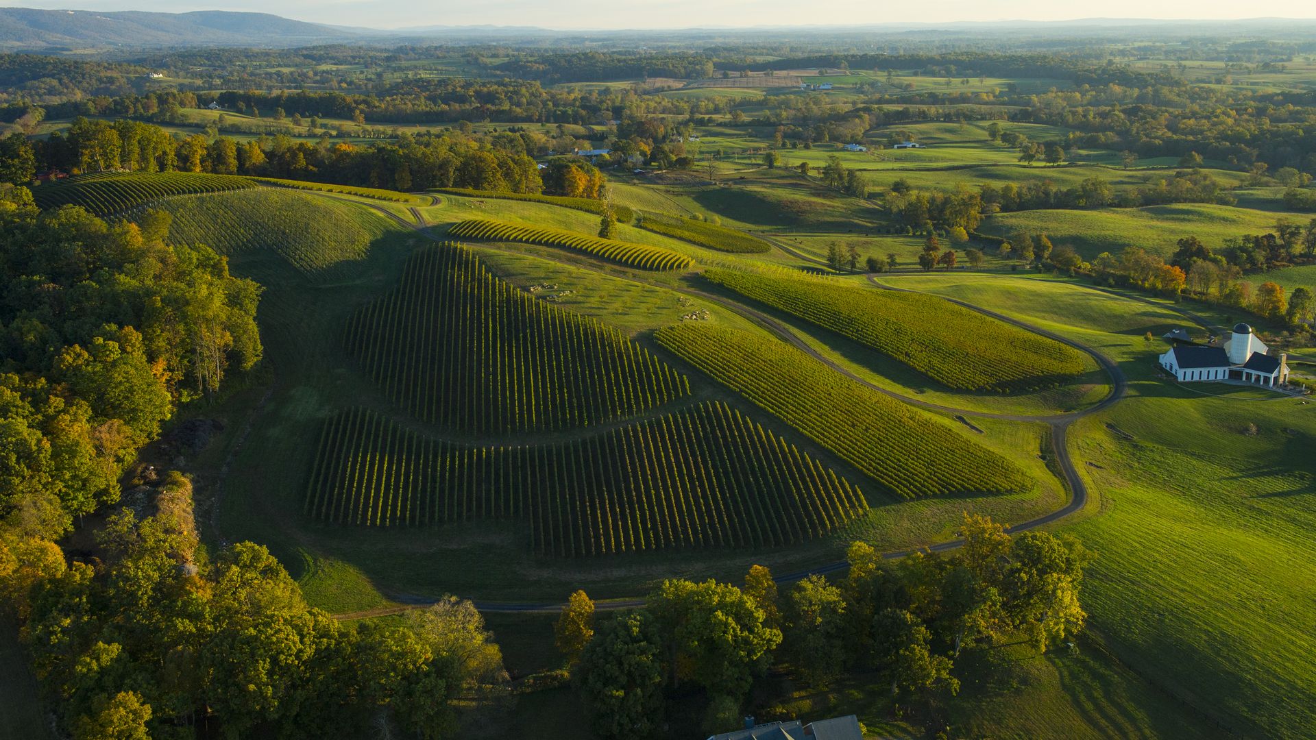 DELAPLANE, VA - OCTOBER 18: Shown is an aerial view of the RDV Vineyards winery on October 18, 2013 in Delpalne, Va. (Photo by Ricky Carioti/The Washington Post via Getty Images)