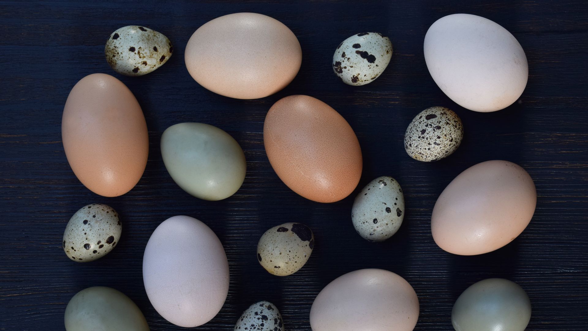 Several different bird eggs with varying colors and sizes placed on a dark background