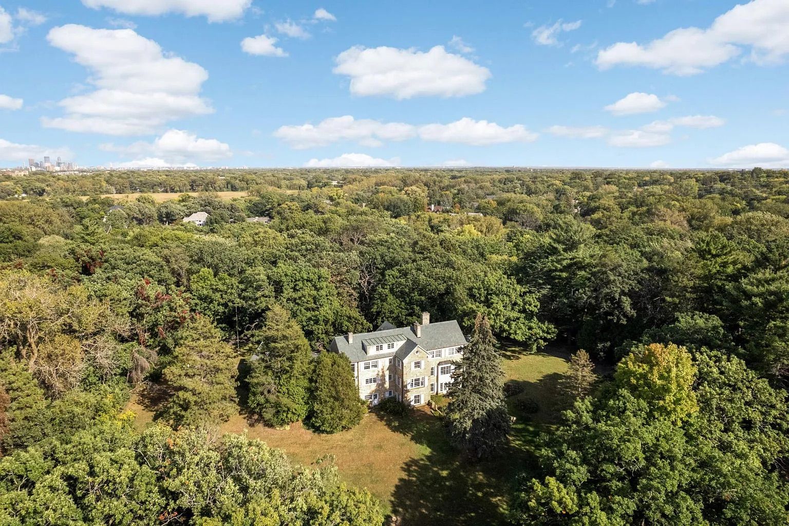 A forest with a house in the middle.