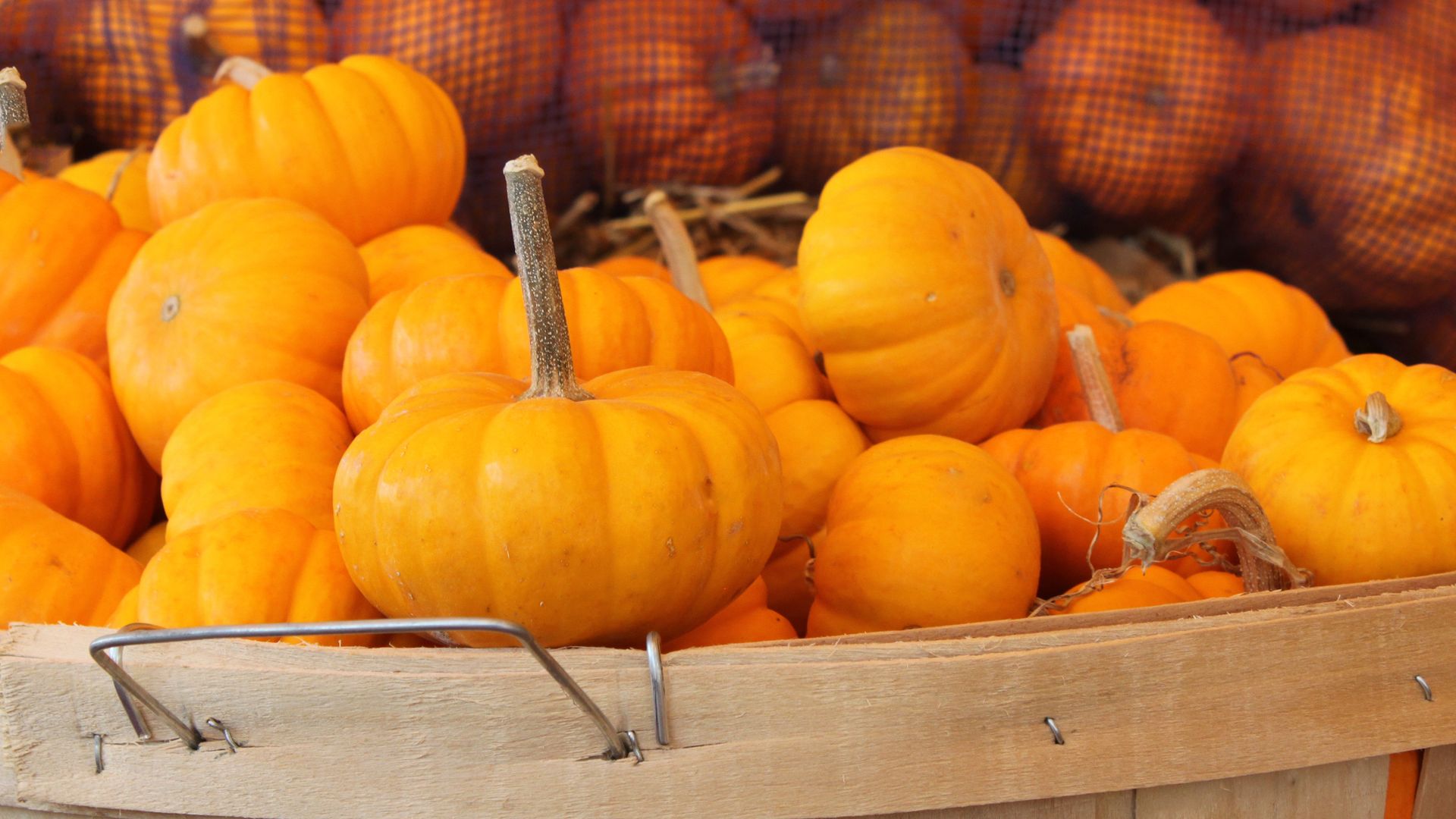 Bright orange pumpkins fill a wooden crate, with visible stems. A harvest-market backdrop of orange sacks and rustic wood completes the autumn scene.