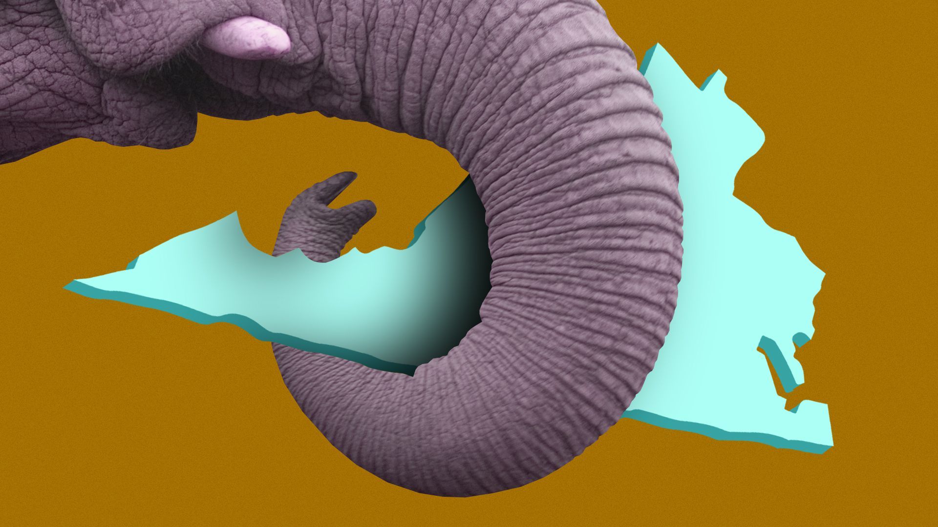Illustration of an elephant trunk wrapping around the state of Virginia