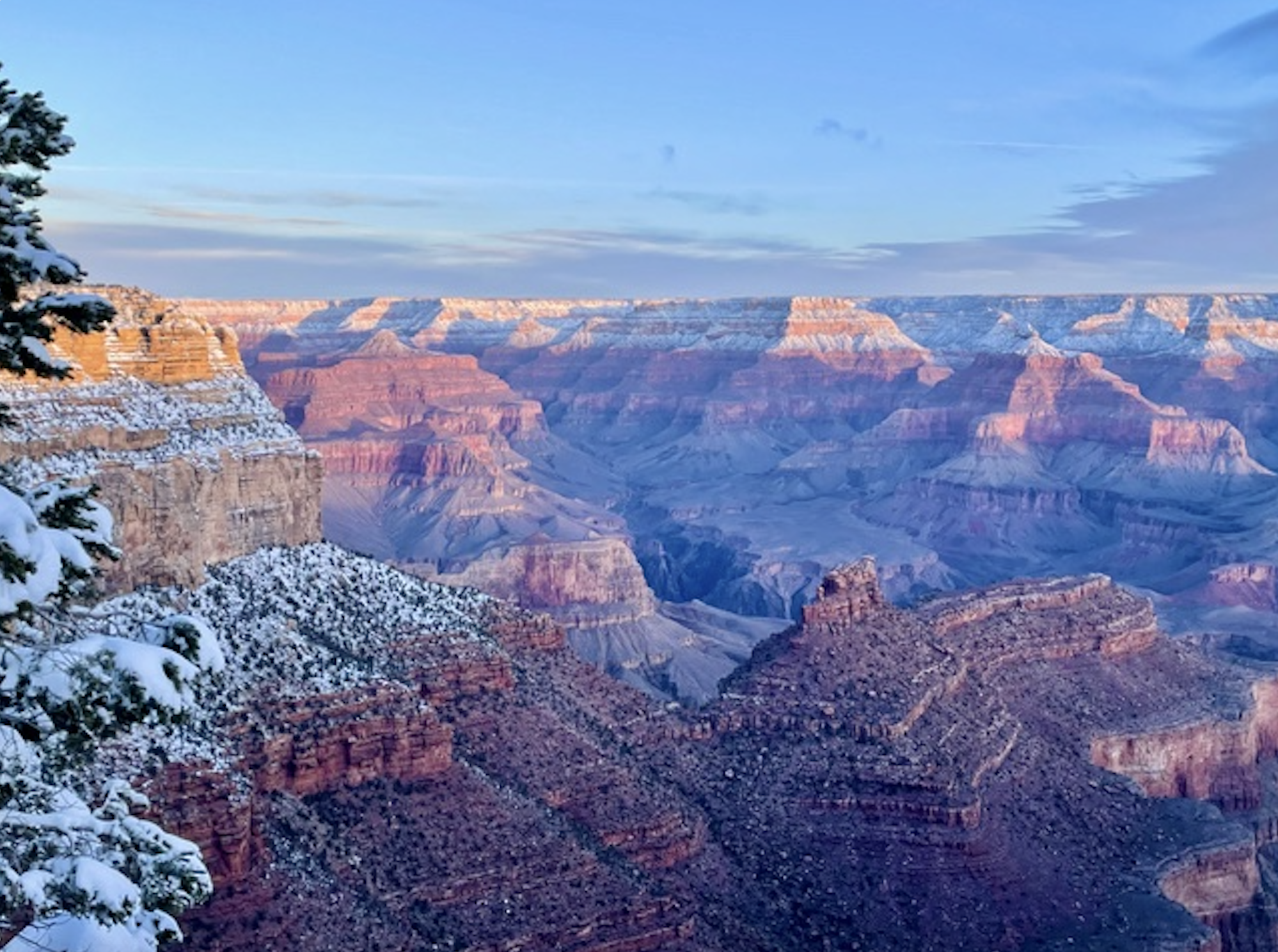Snow-dusted Grand Canyon cliffs and pine trees under a clear blue sky, with purple and pink hues from the sunrise lighting the layered rock formations.