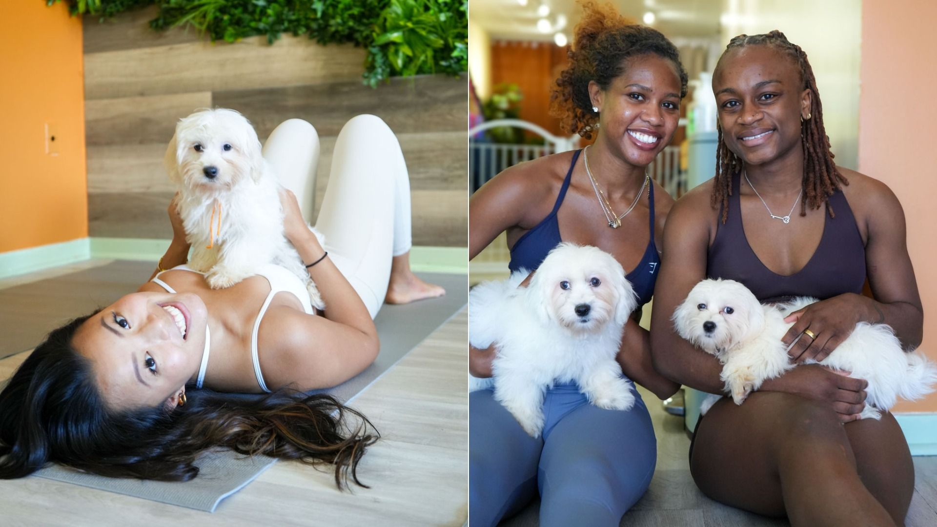 Two images side by side: left shows a woman in white activewear lying on a yoga mat with a small white dog on her chest; right shows two women sitting indoors, each holding a small white dog, smiling at the camera.