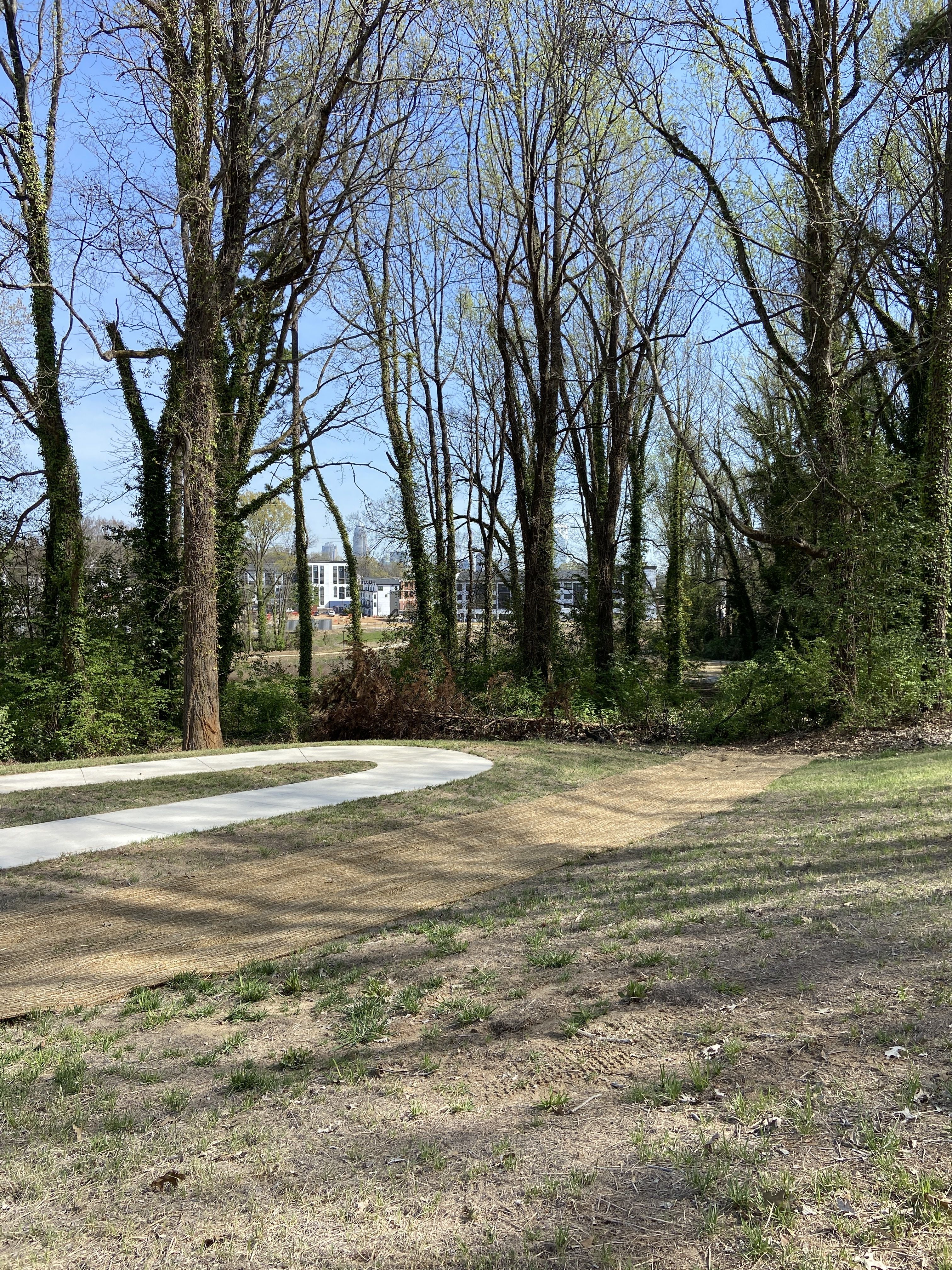 The Charlotte skyline peeks through the trees on Stewart Creek Greenway. 