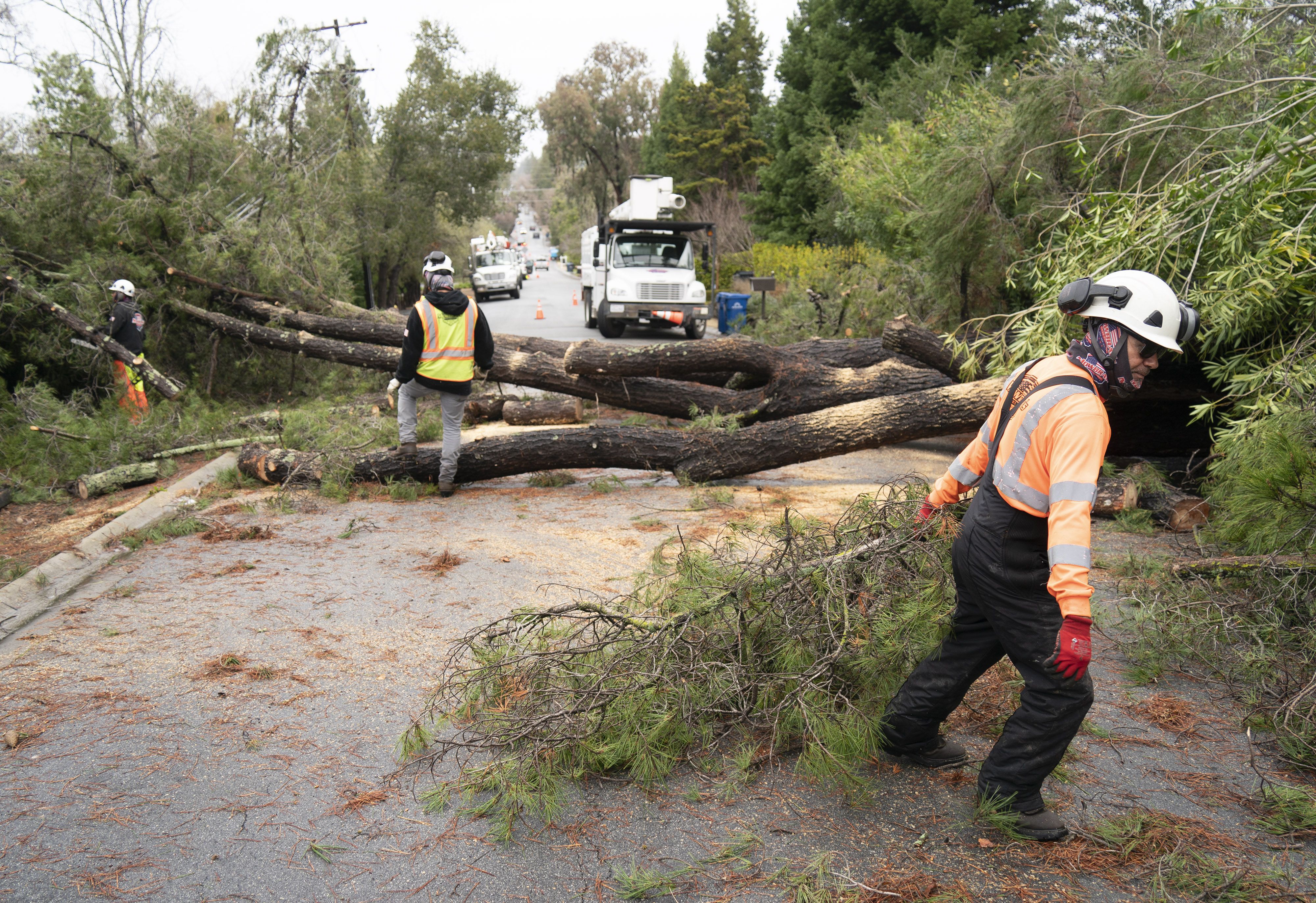 Workers clears fallen trees caused by a winter storm on January 9, 2023 in San Mateo County, California.