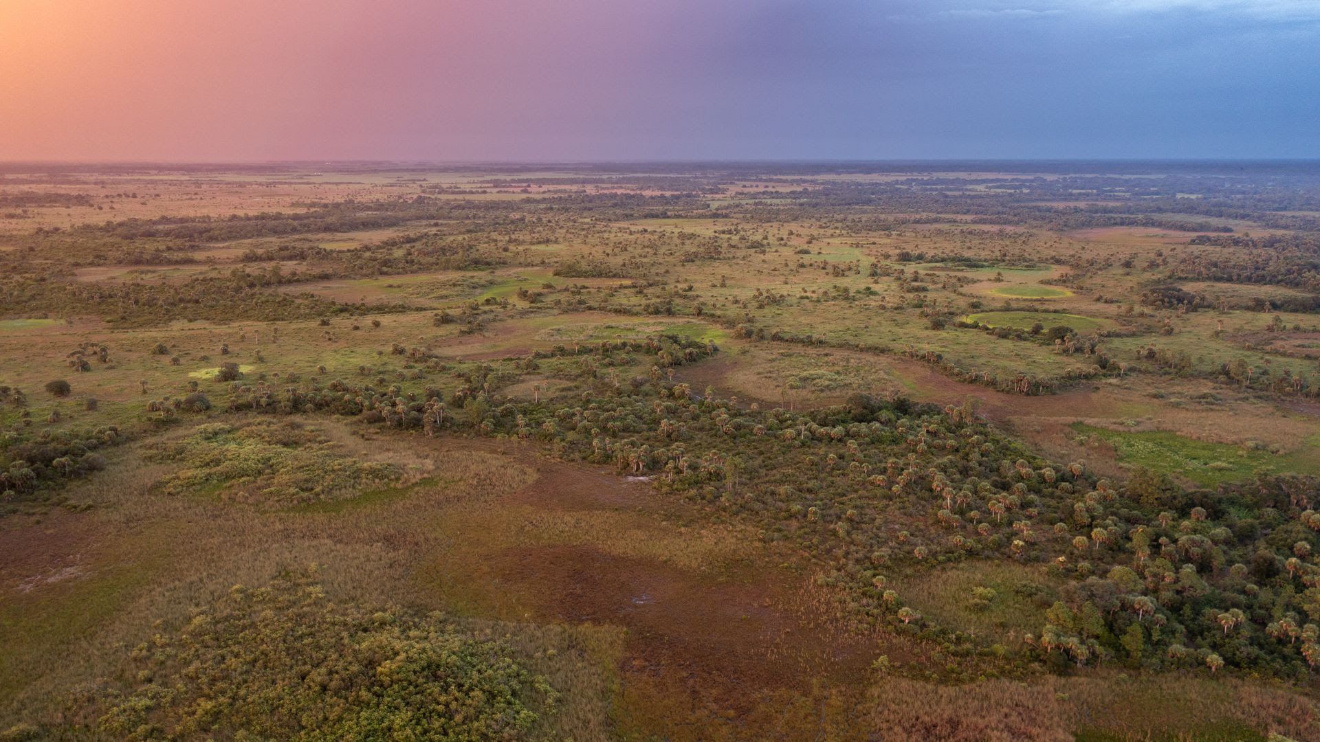 An aerial view of Alico Devil's Garden at sunset.
