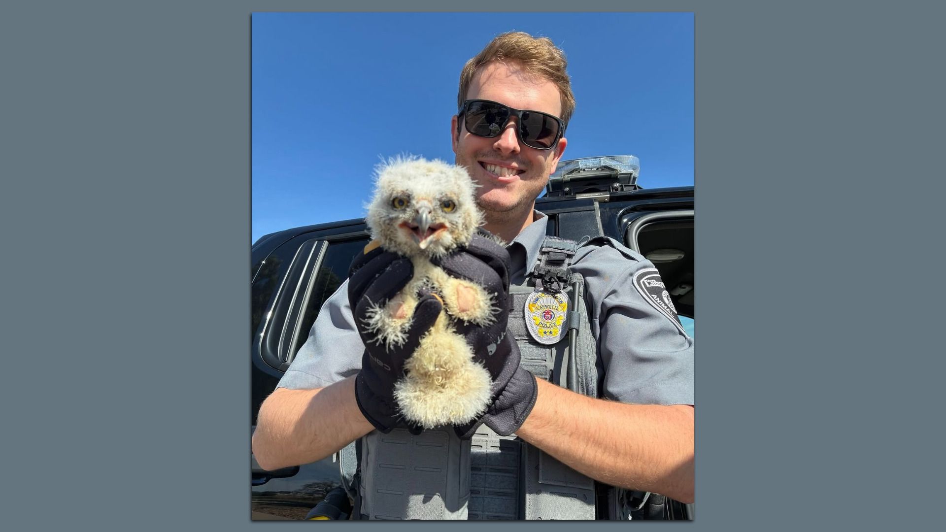 Police officer in gray tactical vest and dark sunglasses holds a fluffy white owl toward the camera, smiling; clear blue sky and a black SUV in the background.