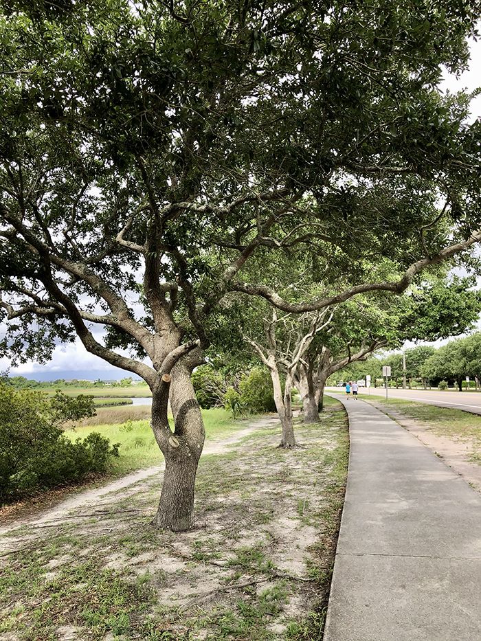 wrightsville beach loop