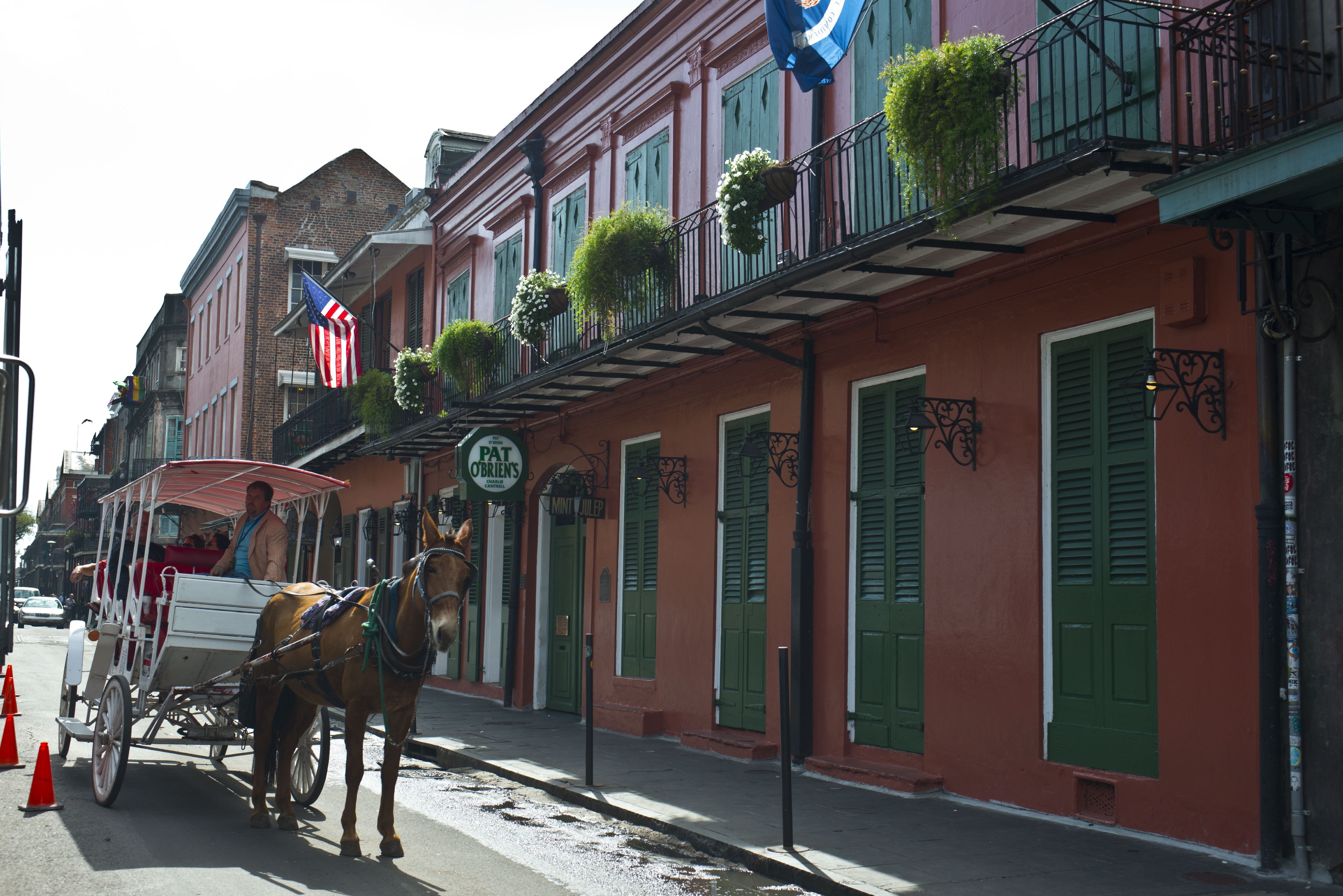 A horse and carriage walks past Pat O'Brien's bar on an otherwise empty French Quarter street.