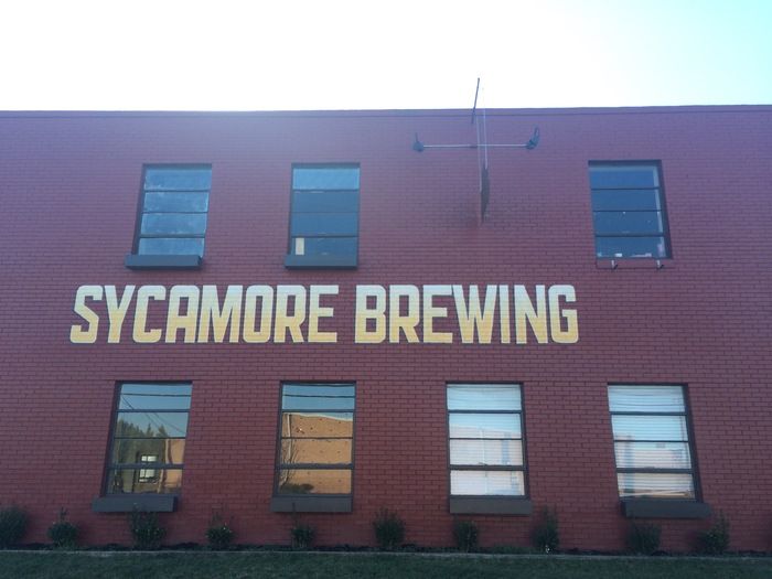 sycamore brewing