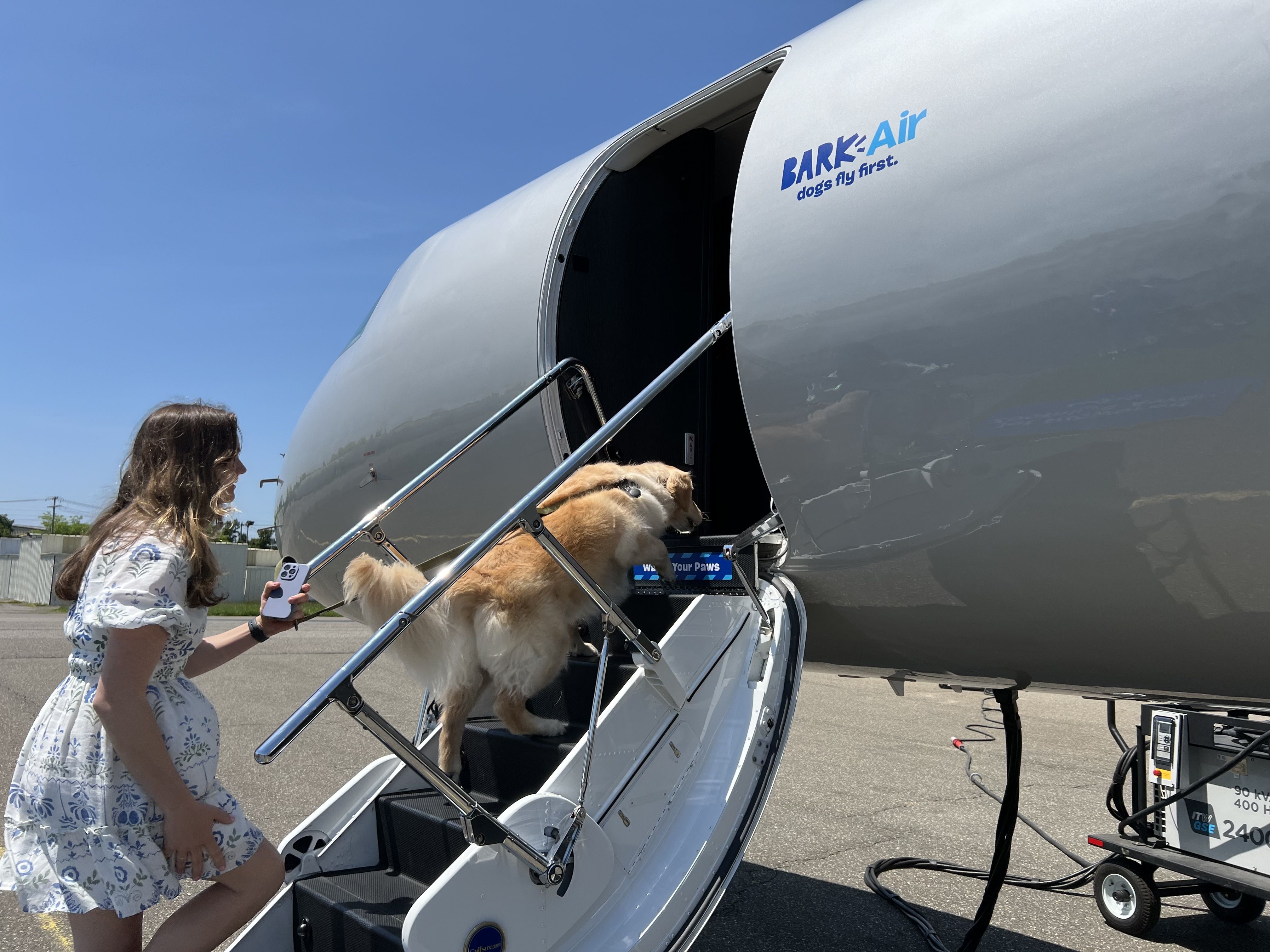 Bark Which Airlines Fly Dogs Cheap Flights For Dogs Only Shop