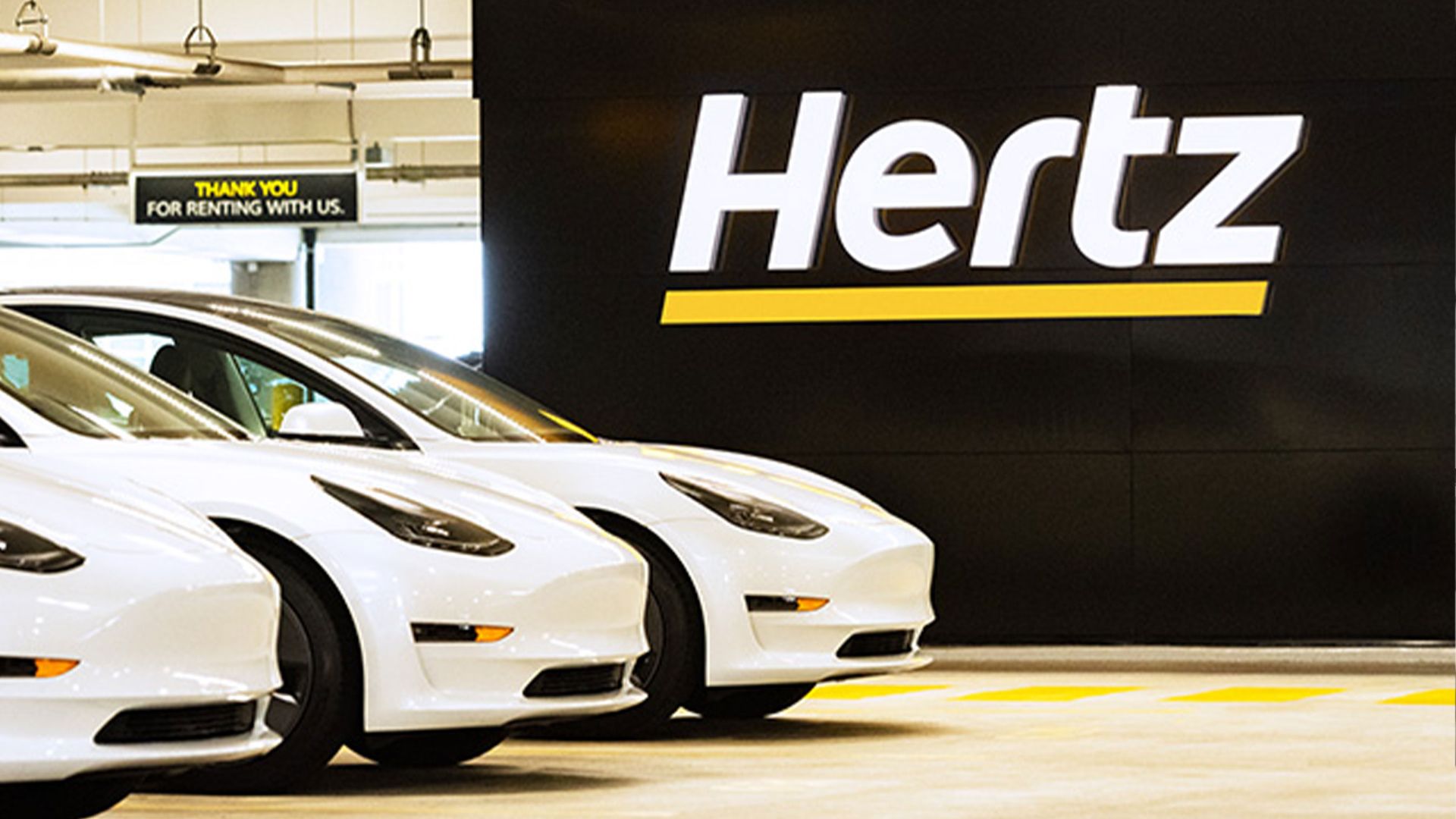 Image of several white Tesla Model 3 cars parked under a Hertz rental sign. 