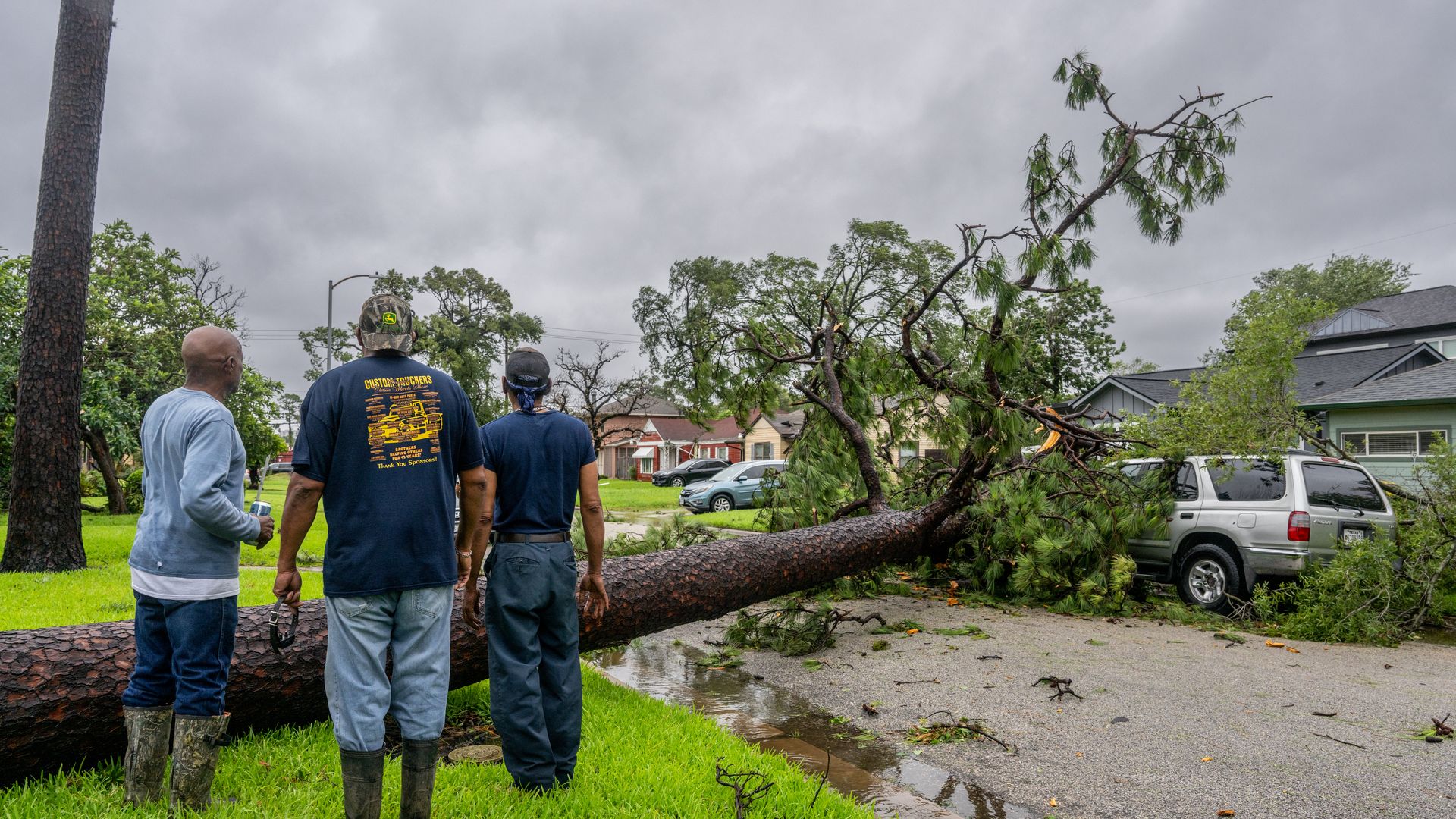 Three men look at a tree that's fallen on a car.