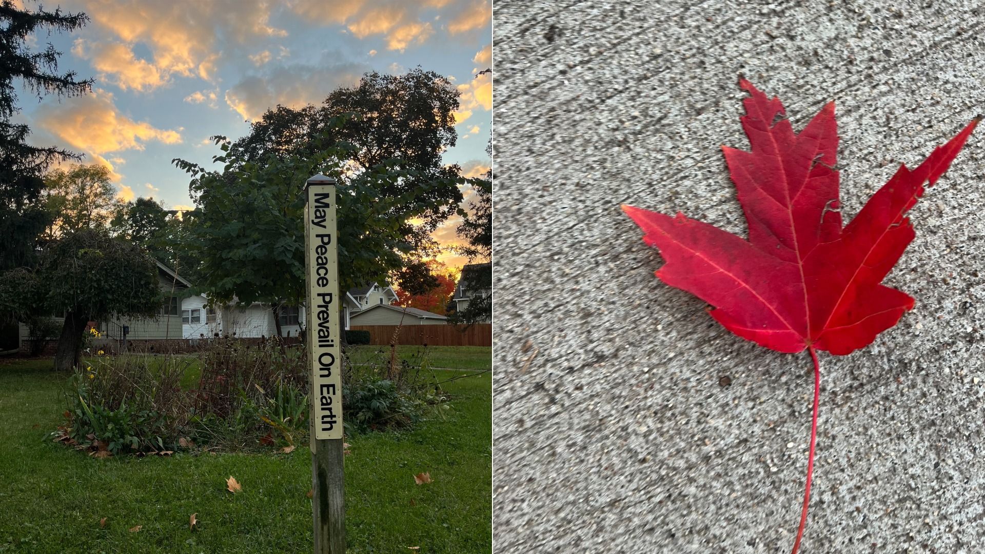 Left: garden with green grass, trees, and houses at sunset with yellow-orange clouds; pole reads "May Peace Prevail On Earth." Right: close-up of bright red maple leaf on gray concrete.