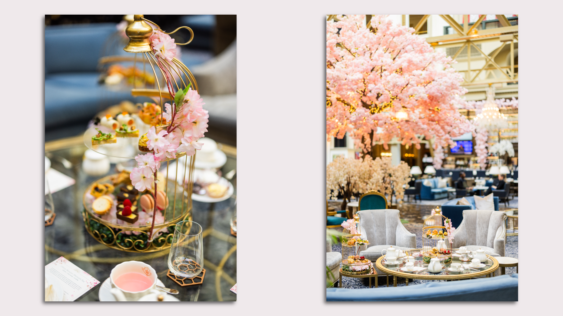 Cherry blossom tea at the Waldorf Astoria DC, a tray of sweets (left) and lobby with cherry blossom trees 