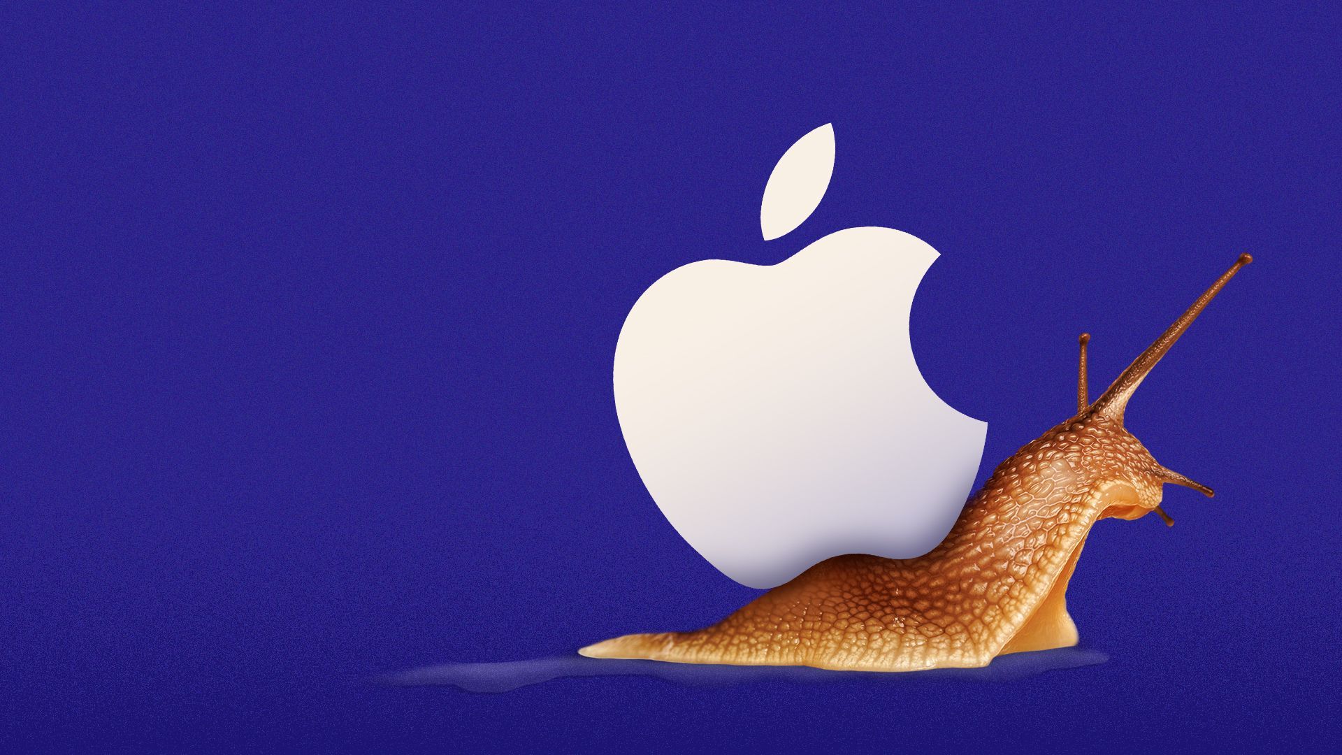 Illustration of a snail with the Apple logo as its shell.