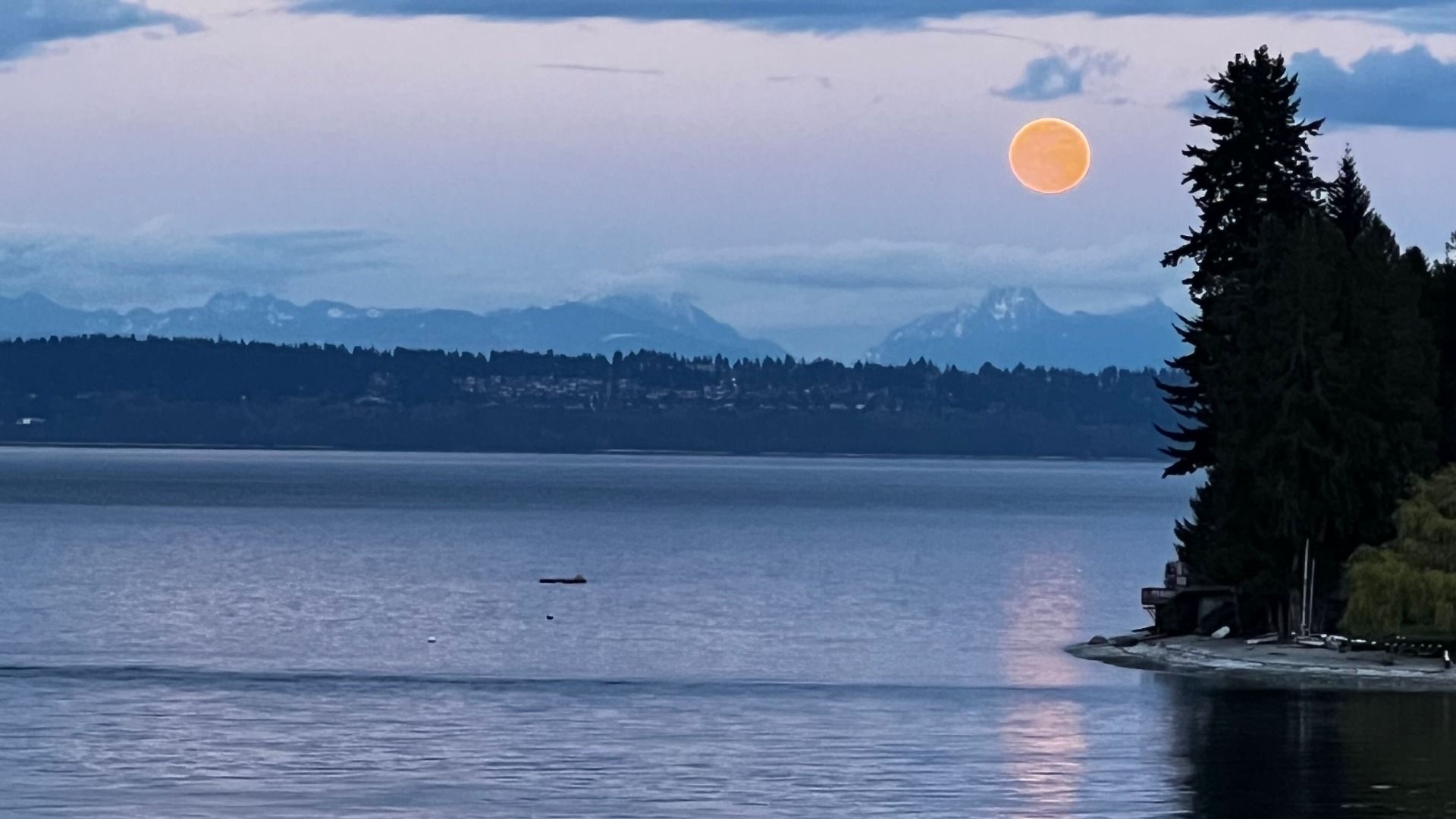 A full orange moon rises over still water, glowing above a dark evergreens and snowy mountain peaks. 