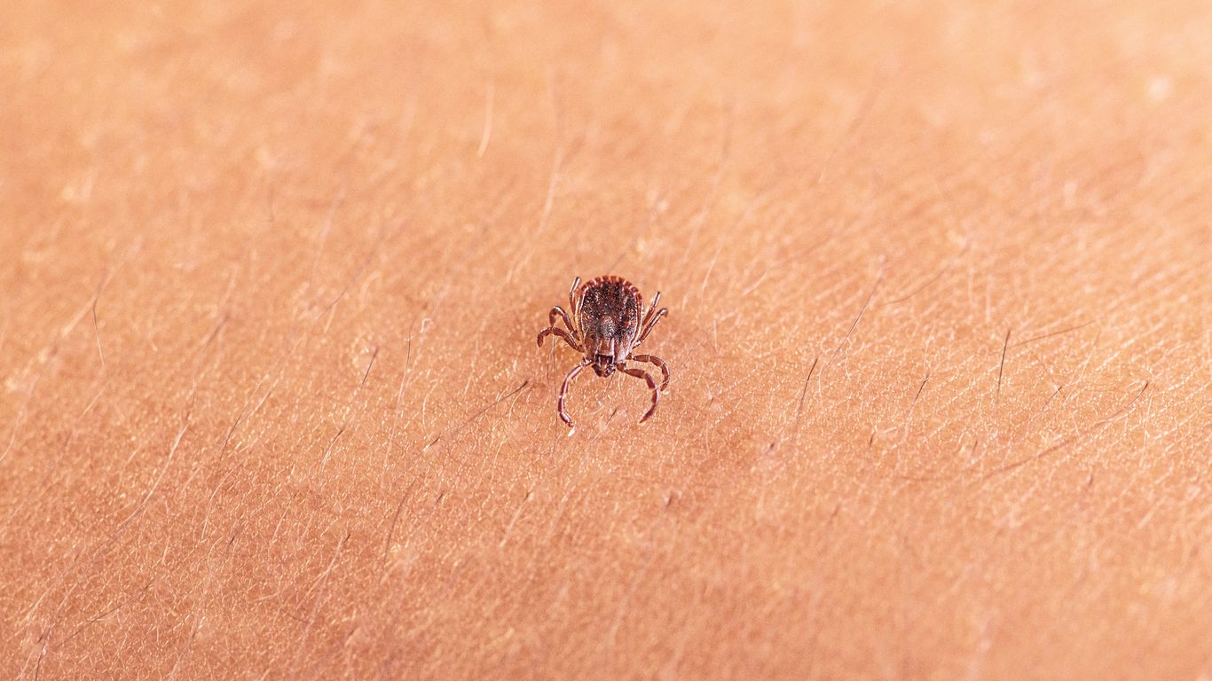 Iowa reports more tick bites, illnesses