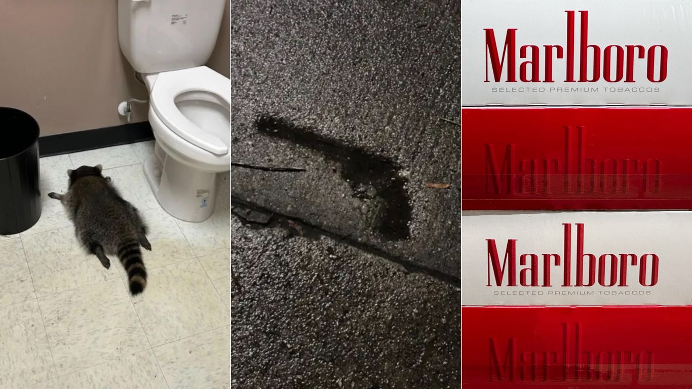 Richmond's time capsule picks: Drunk raccoon, Gun Hole, Marlboros