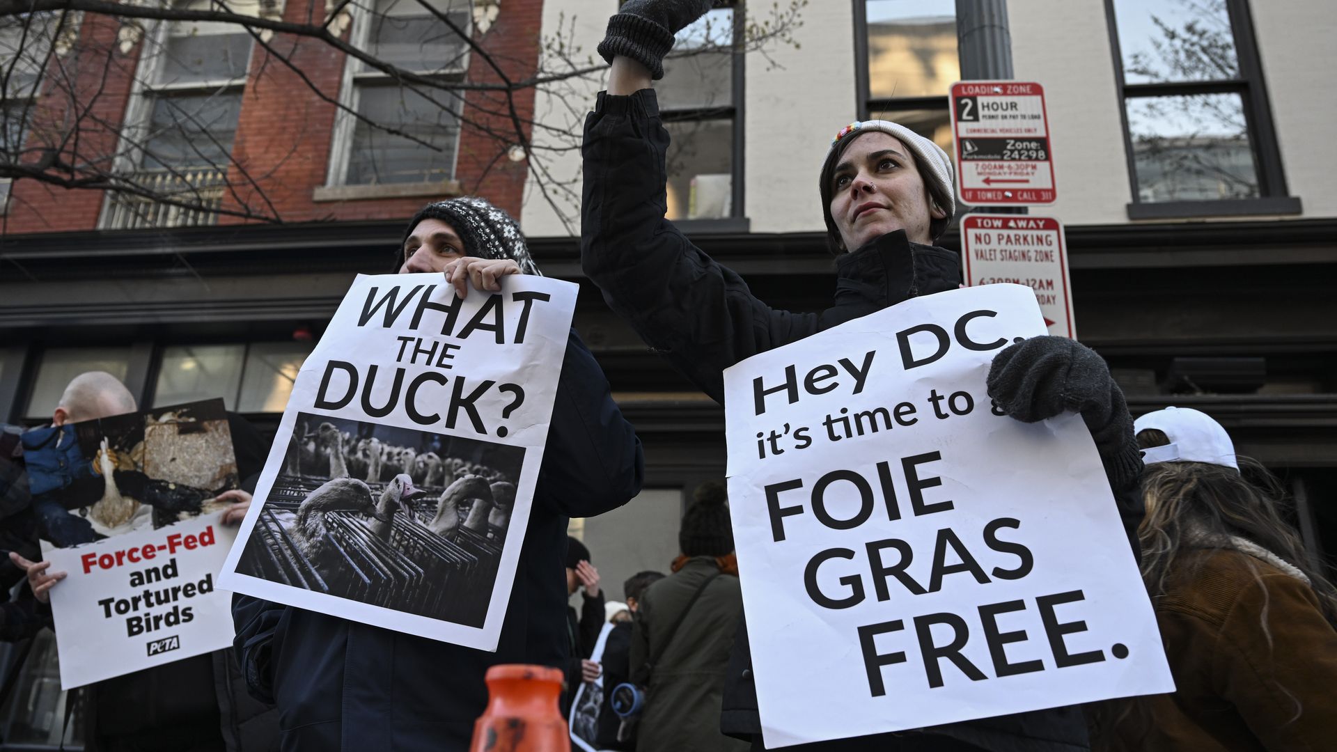 Members of Humane League protest against the controversial force-feeding of birds outside a French restaurant in DC