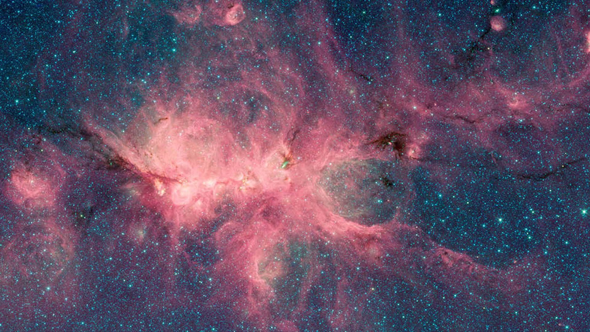 The Cat's Paw Nebula seen by the Spitzer Space Telescope. Photo: NASA/JPL-Caltech