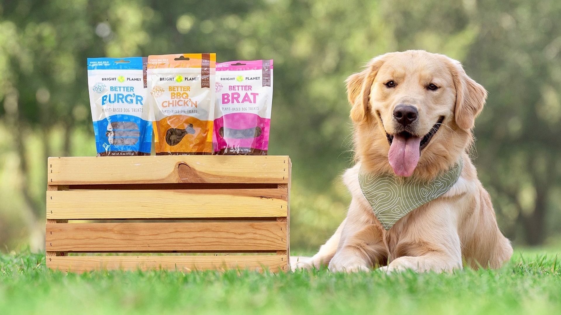 A cute dog sitting next to packages of vegan dog treats.
