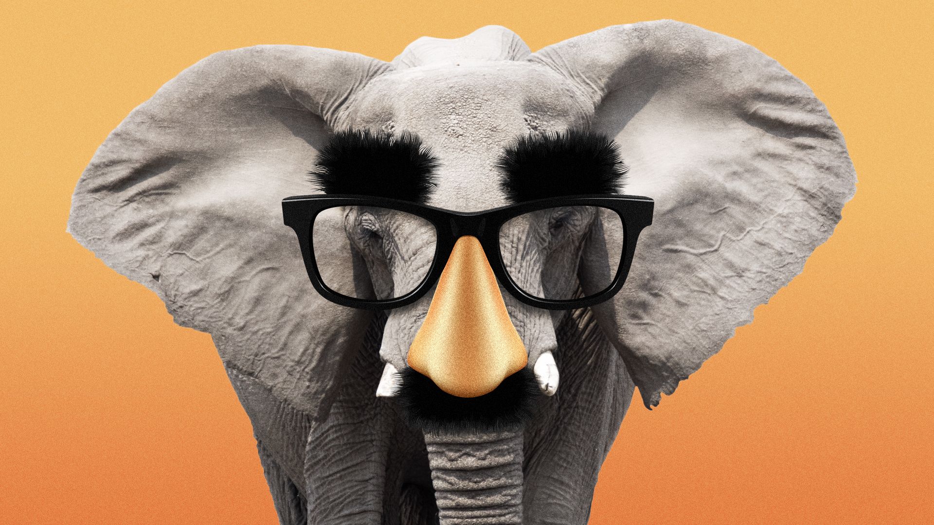 Illustration of an elephant wearing Groucho glasses.