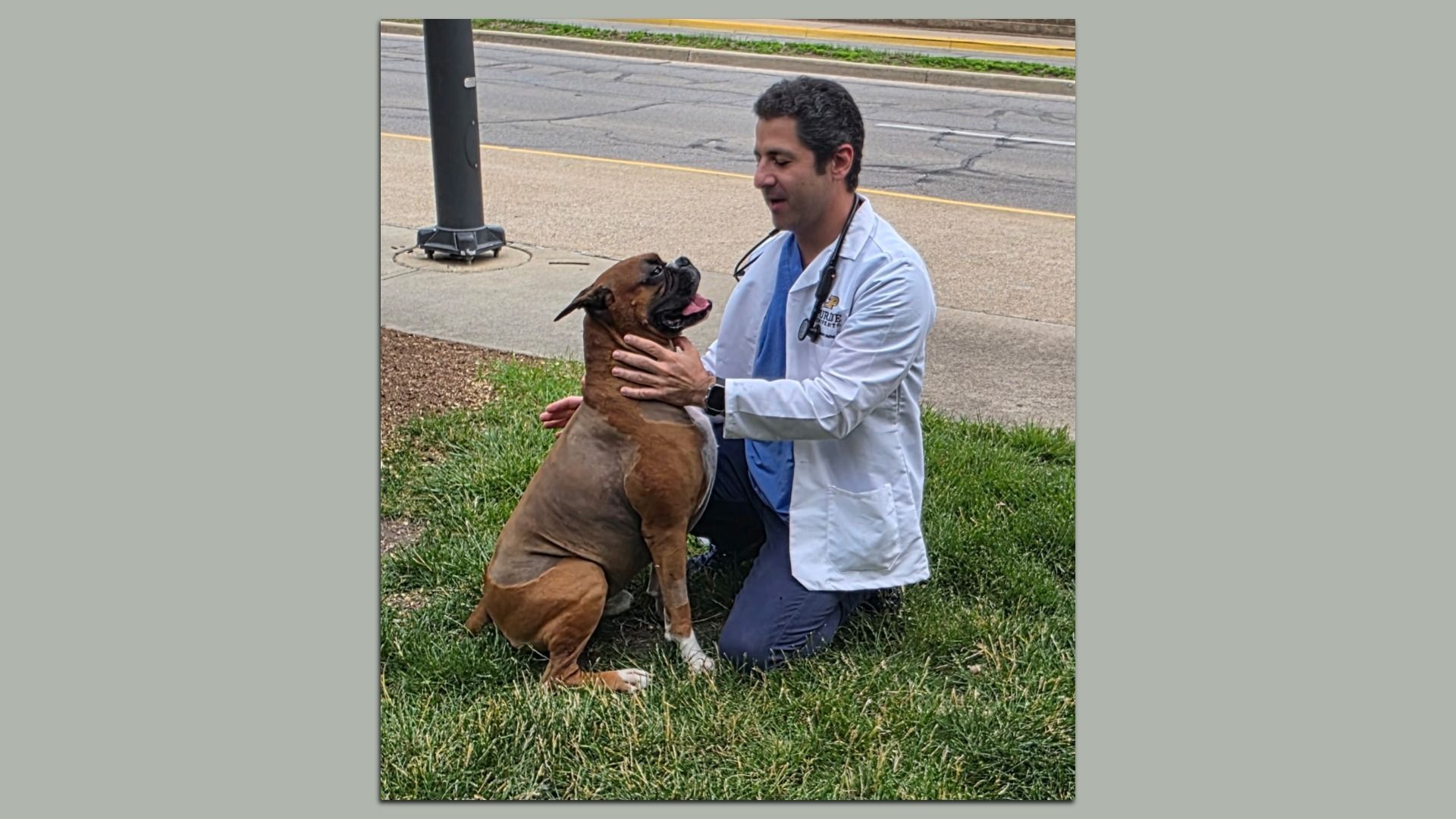 A doctor with a dog